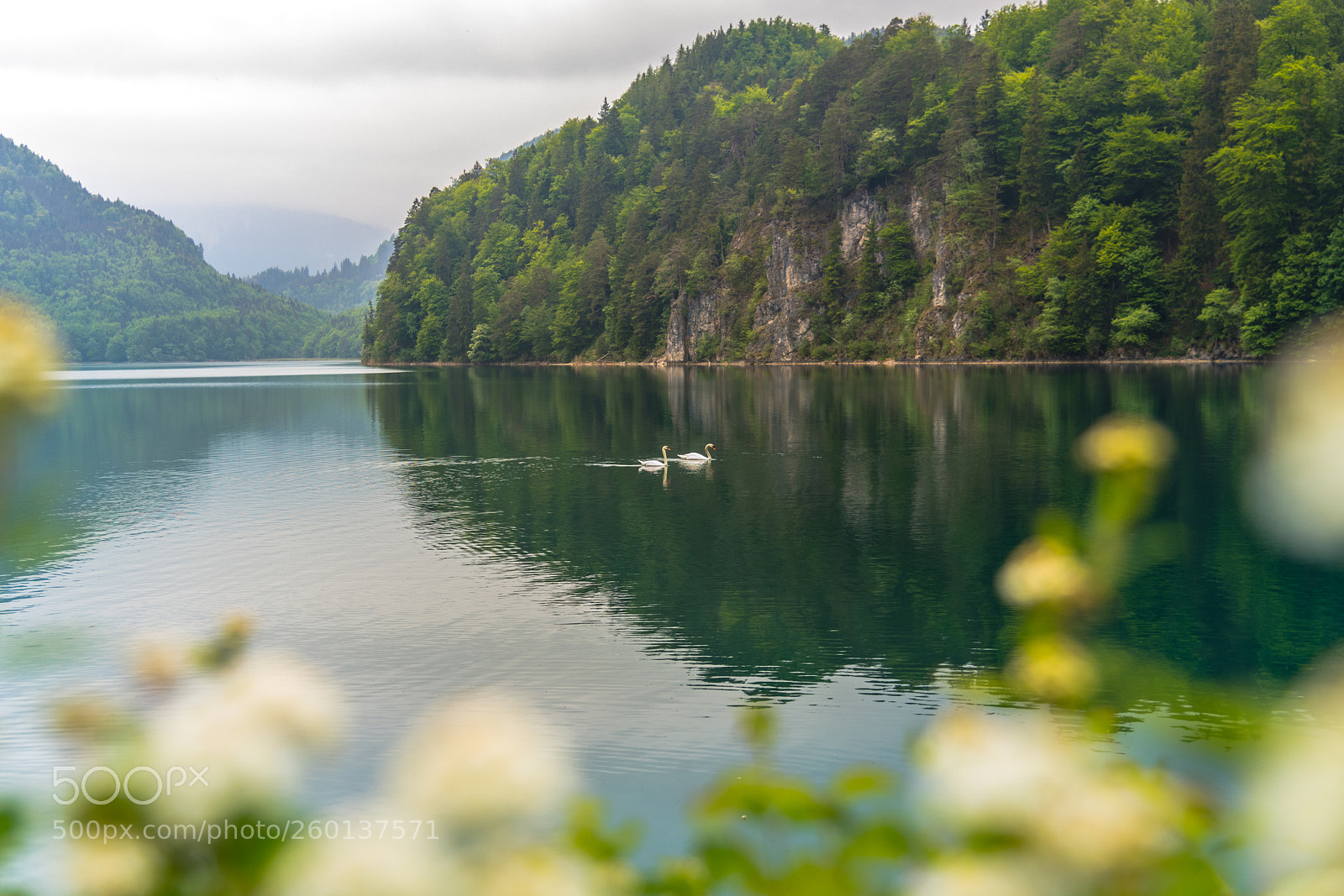Nikon D850 sample photo. Romantic lake scenic with photography