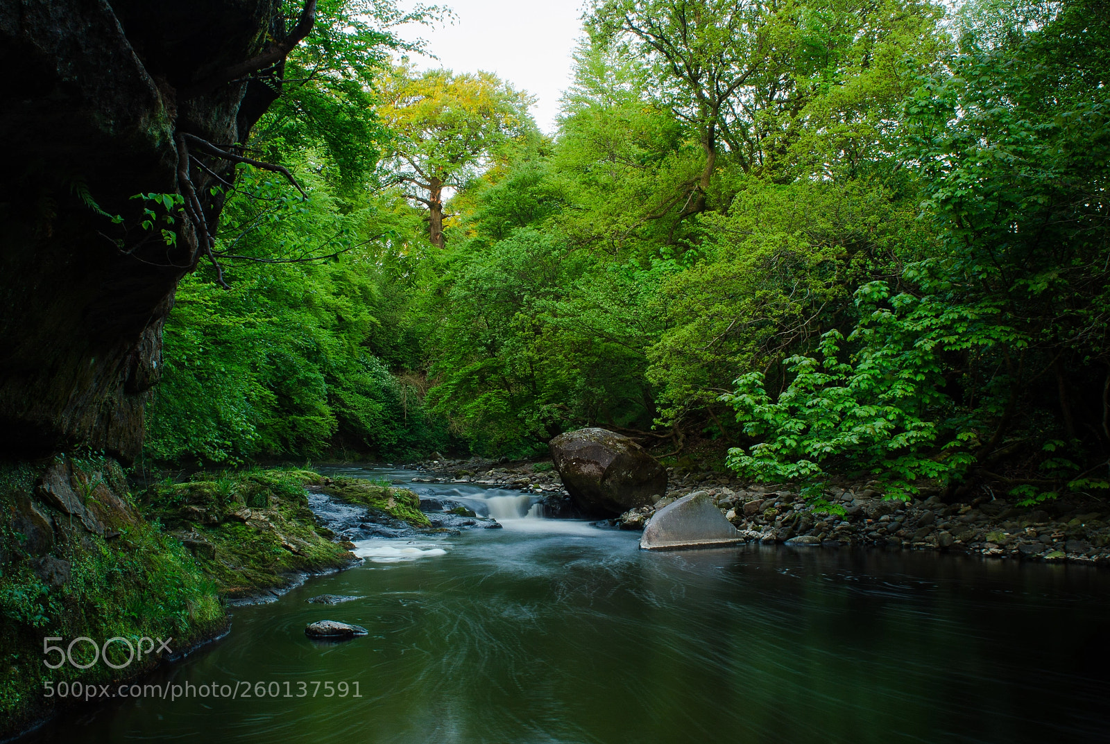 Nikon D5100 sample photo. Stream photography