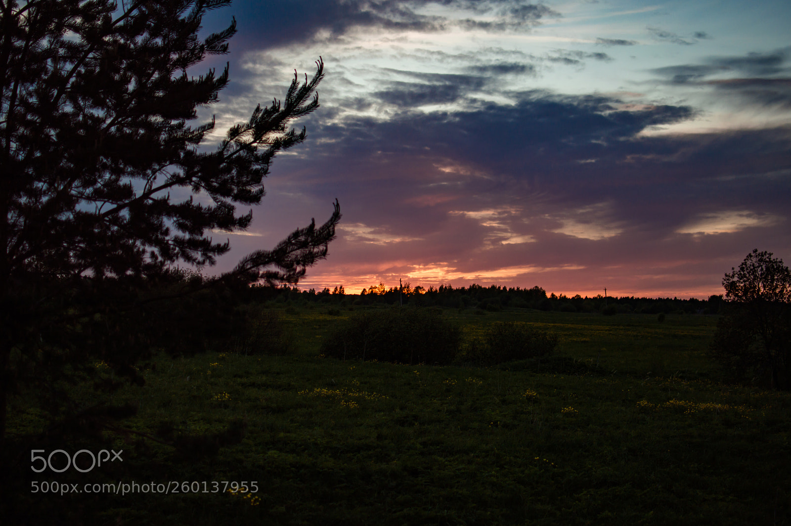 Nikon D3200 sample photo. Sunset in the country photography