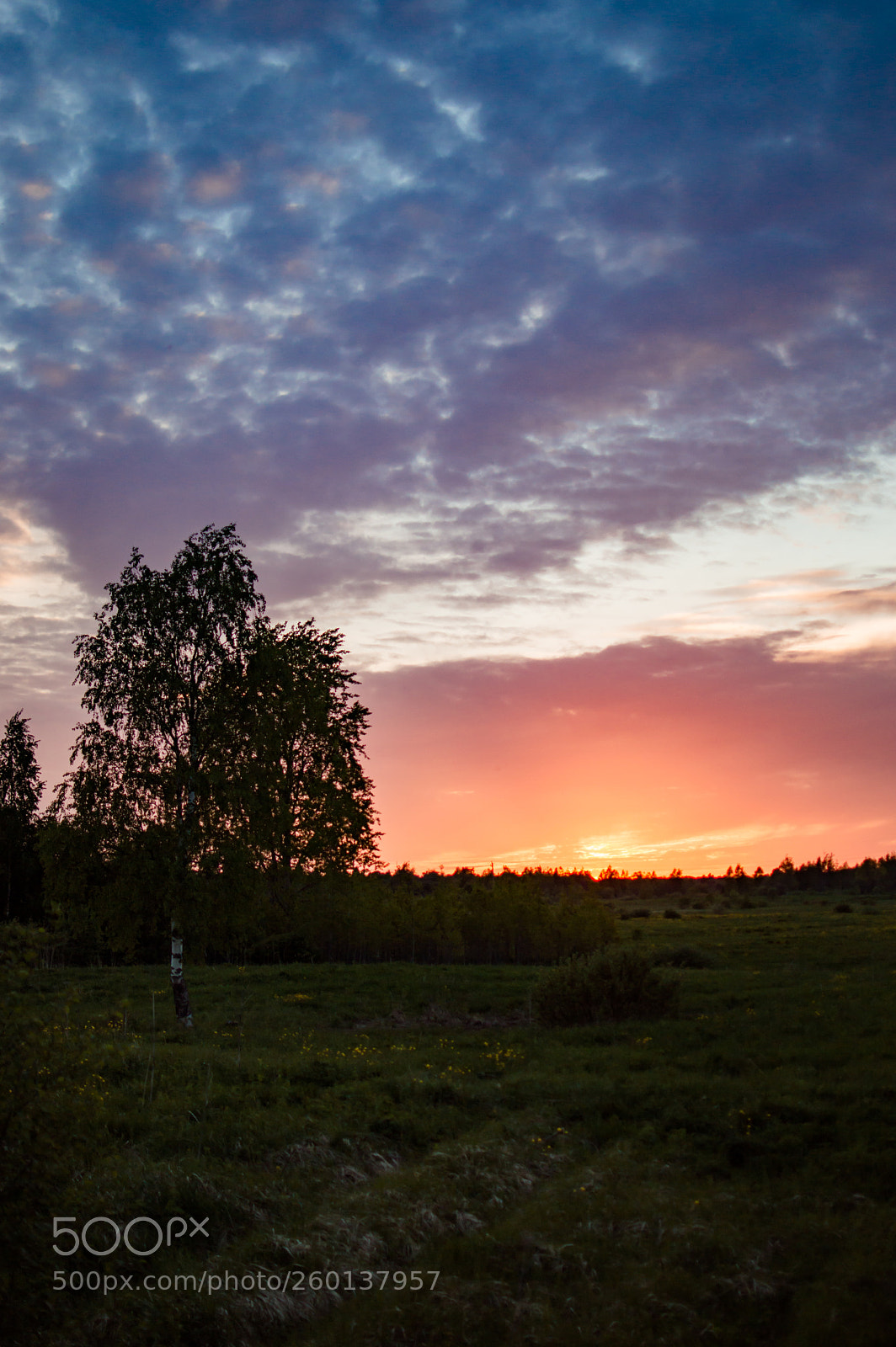 Nikon D3200 sample photo. Sunset in the country photography