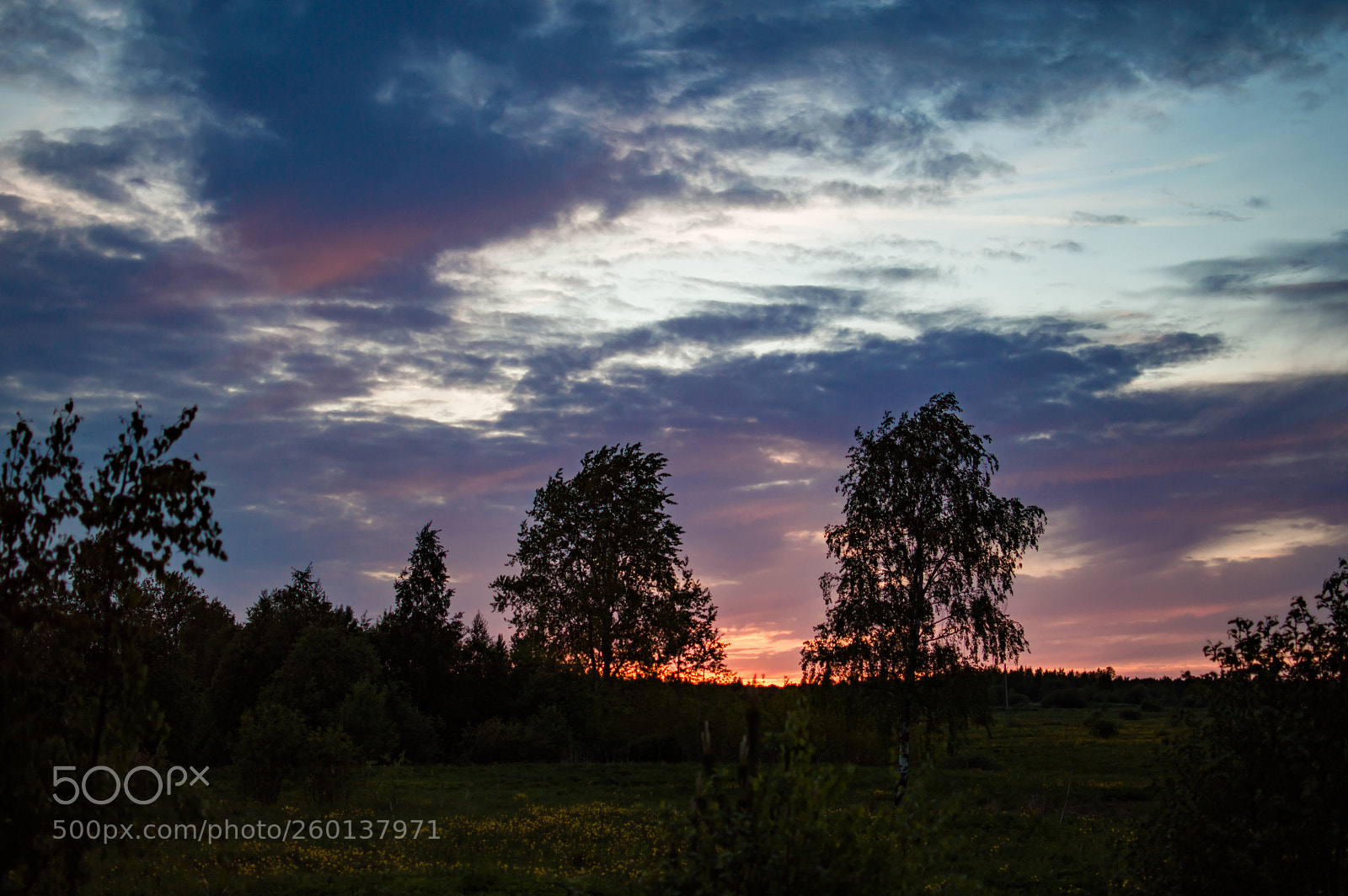 Nikon D3200 sample photo. Sunset in the country photography