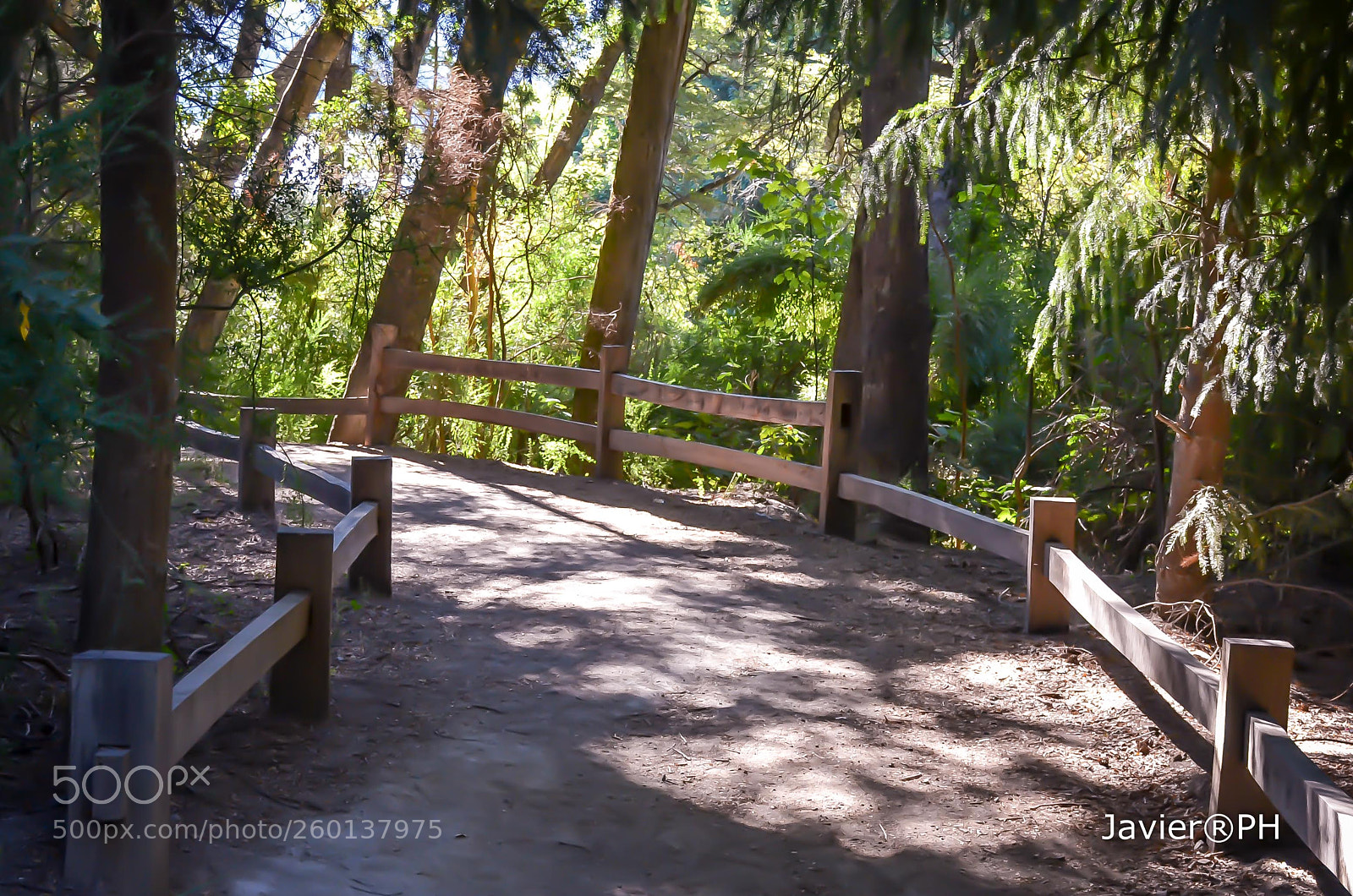 Nikon D5100 sample photo. Path of the fishermen photography