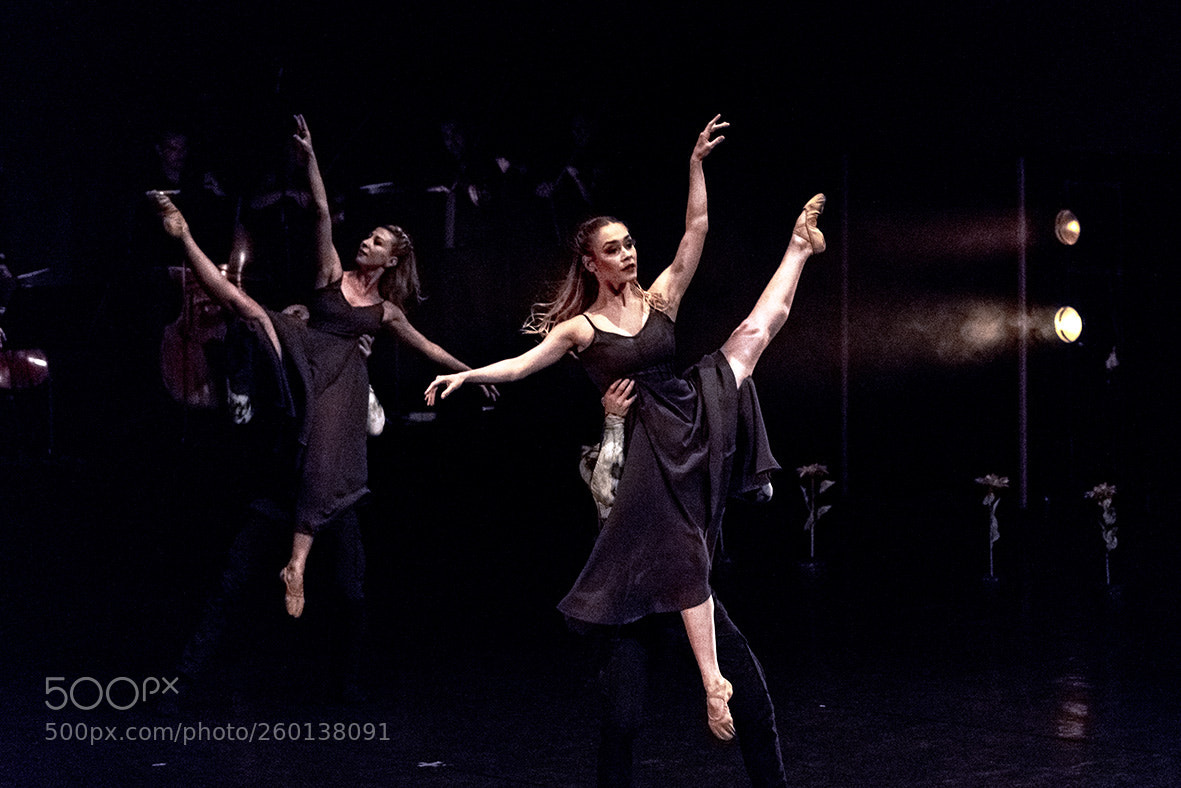Nikon D850 sample photo. Ballerinas -1 photography