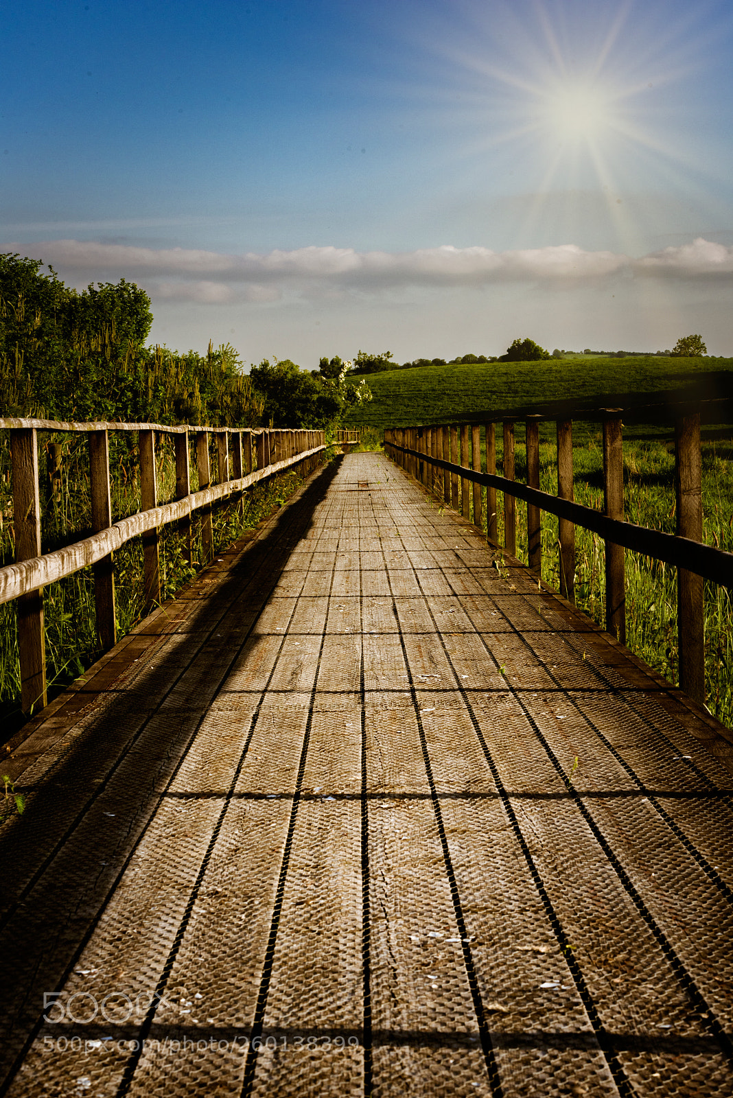 Nikon D810 sample photo. Wetlands bridge photography