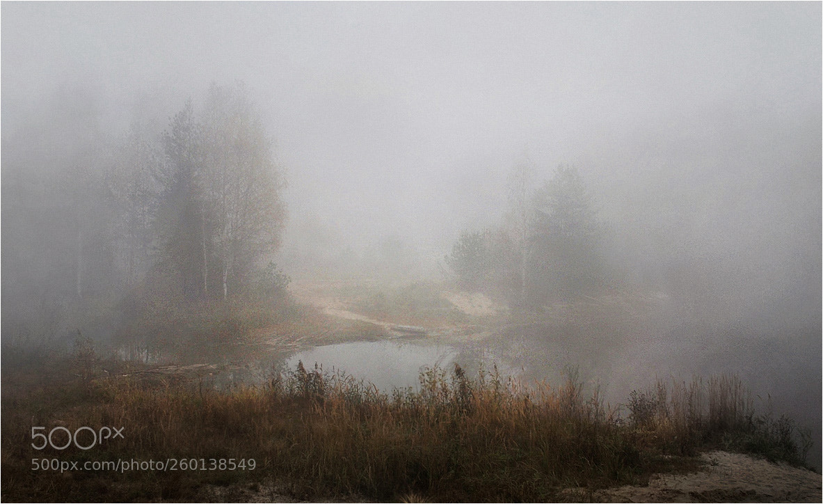 Nikon D3000 sample photo. Fog photography