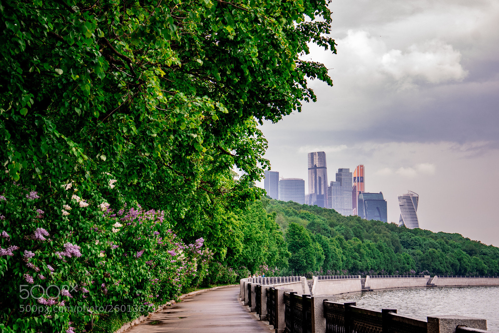 Nikon D3300 sample photo. Embankment photography