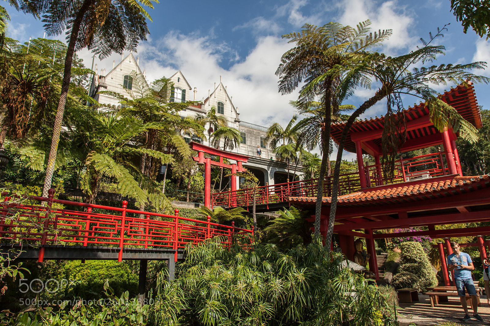 Canon EOS 5D Mark II sample photo. Asian garden on madeira photography