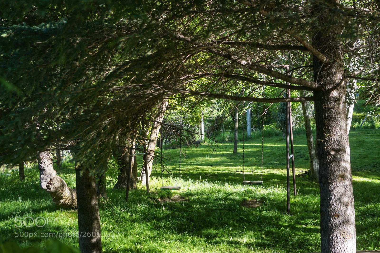 Sony a6000 sample photo. Down the path photography