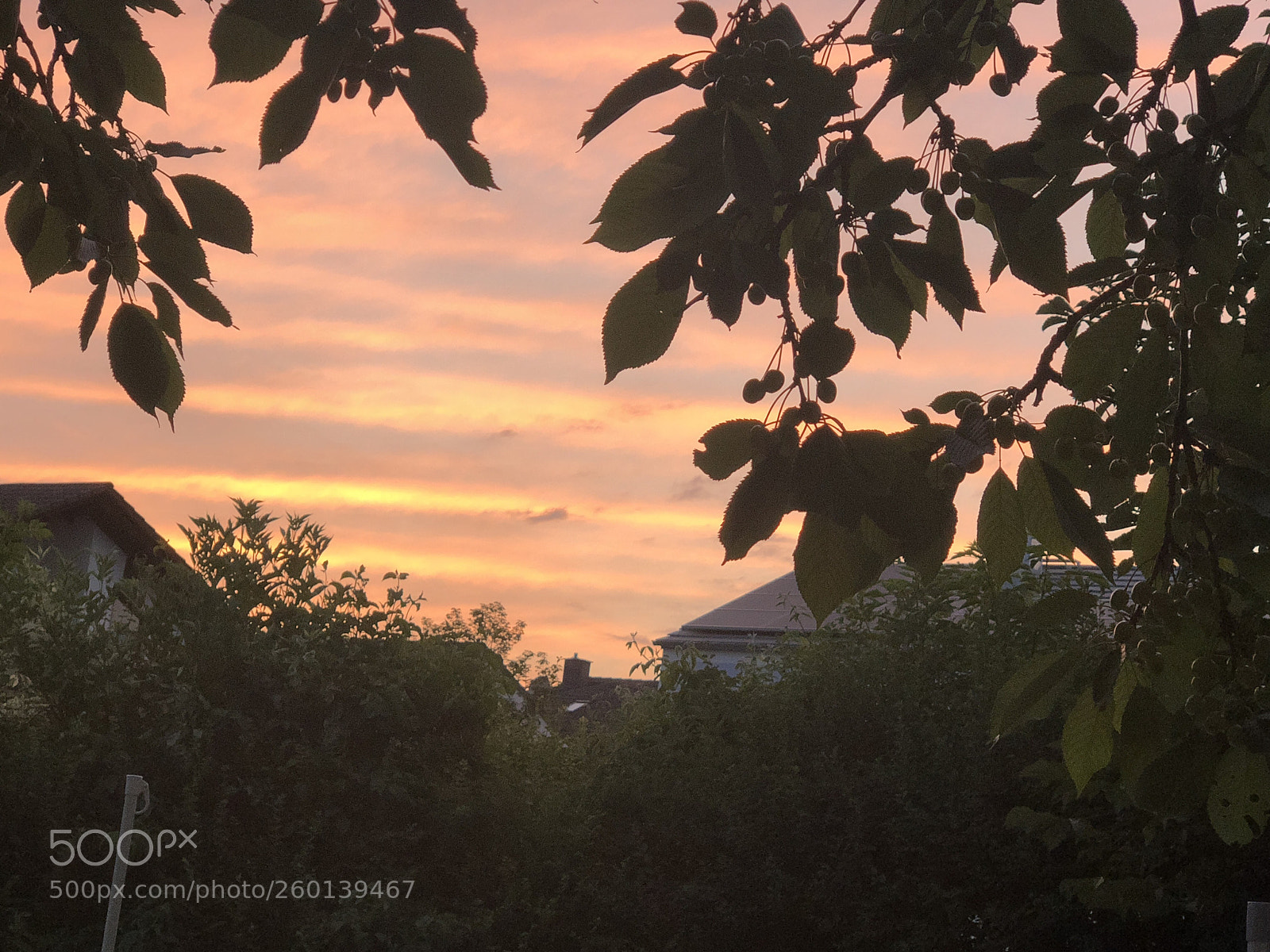 Apple iPhone X sample photo. Untitled photography