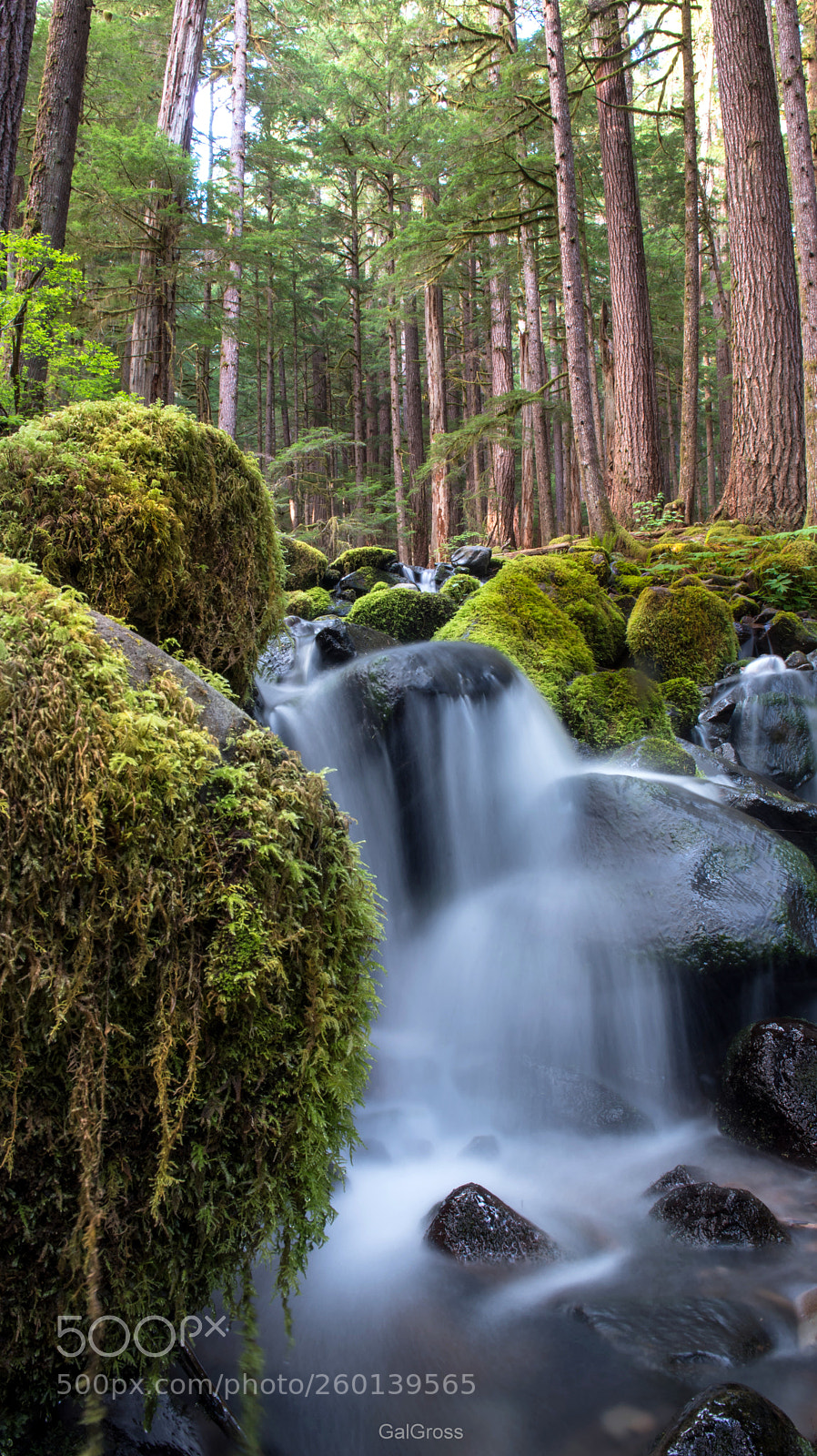 Nikon D750 sample photo. Sol duc falls photography