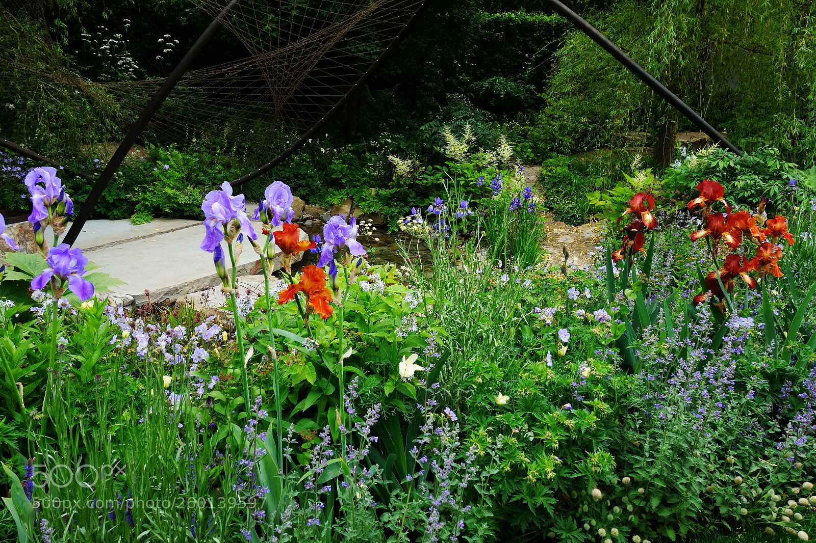 Sony Cyber-shot DSC-RX100 II sample photo. Chelsea flower show medal photography