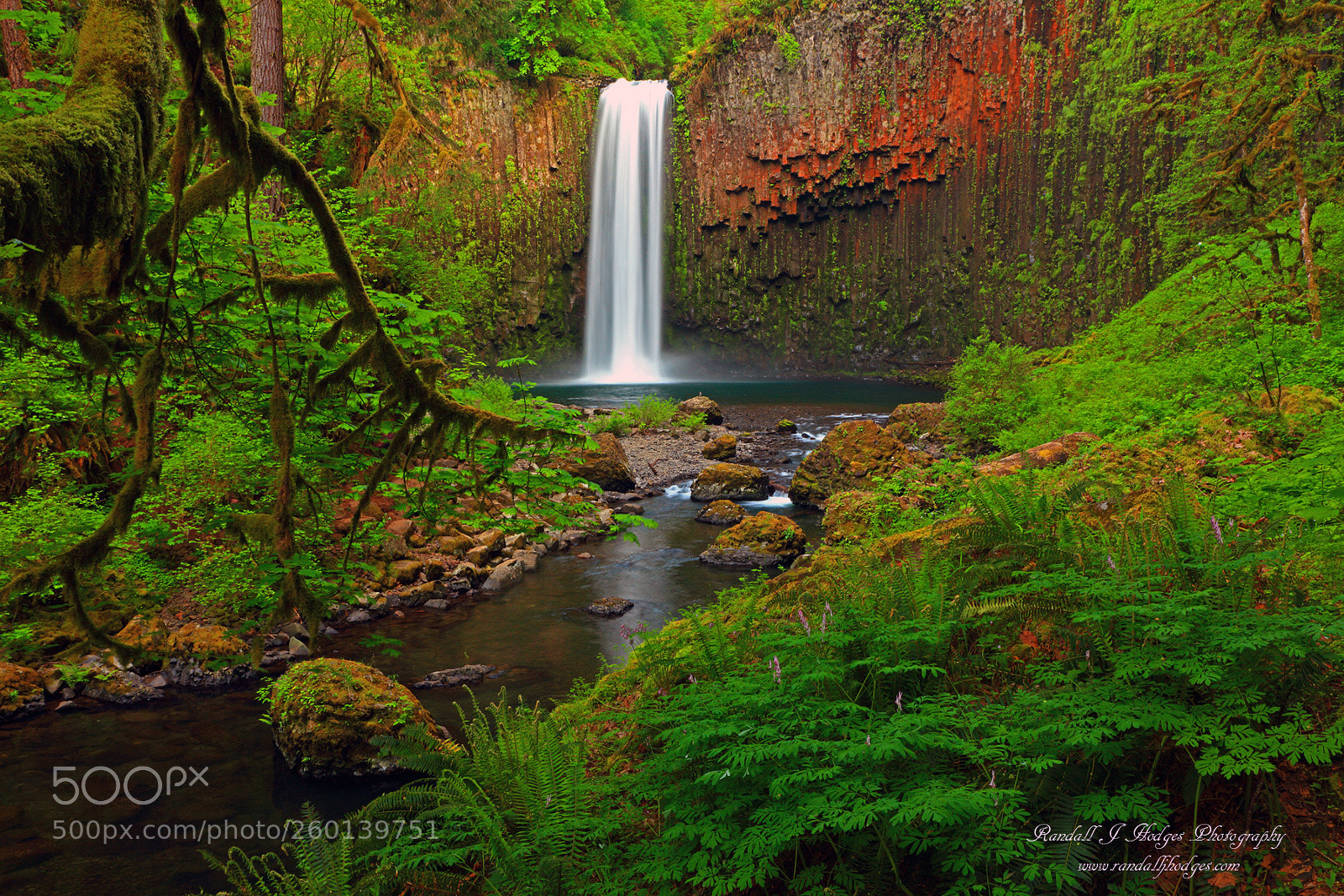 Canon EOS 5DS R sample photo. Abiqua falls oregon photography