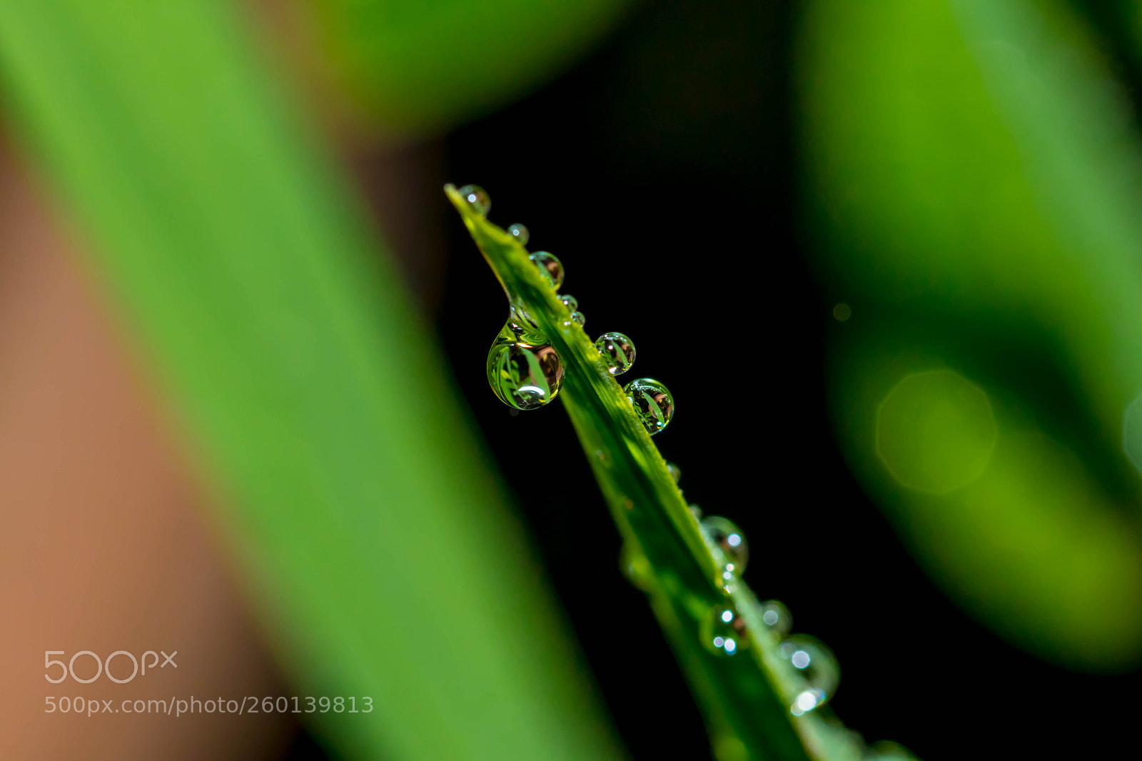 Canon EOS 80D sample photo. Evening rain photography