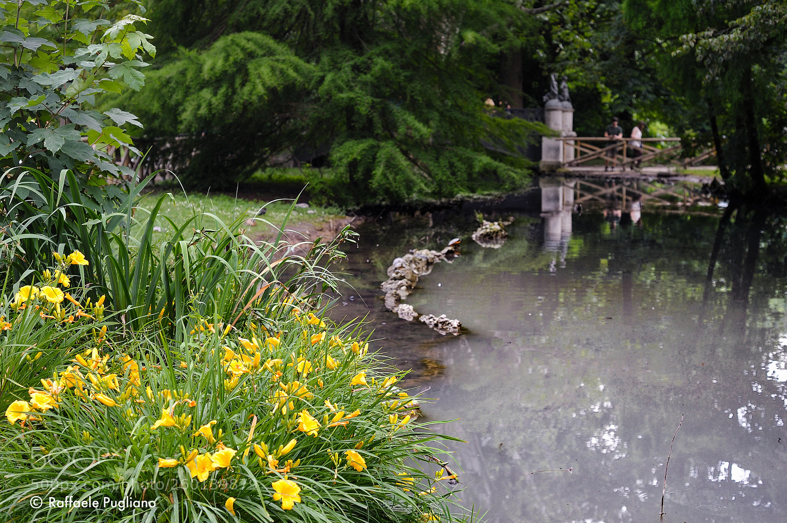 Nikon D3 sample photo. Sempione park photography