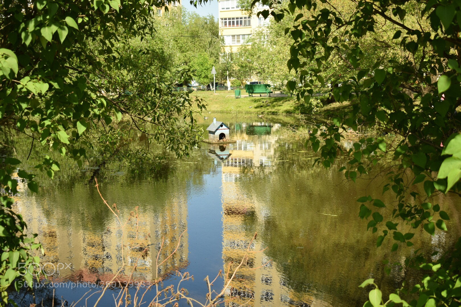 Nikon D5300 sample photo. Untitled photography