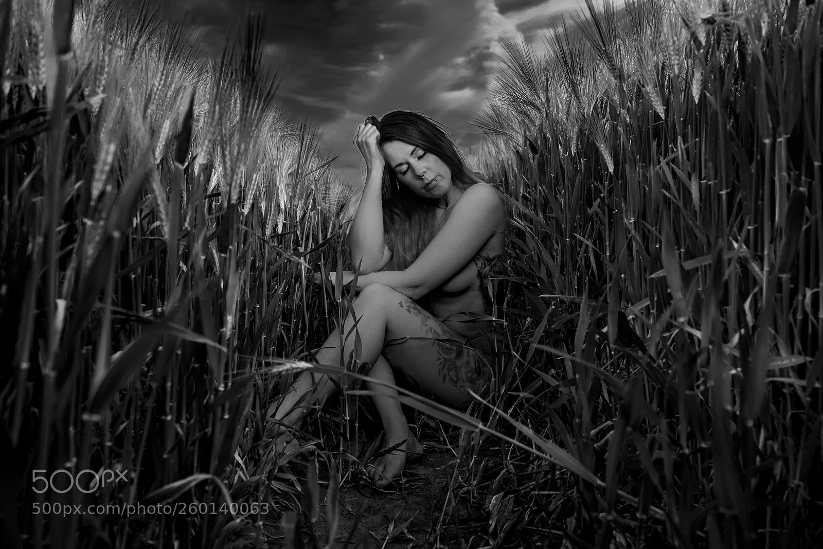 Fujifilm X-T2 sample photo. Im feld photography