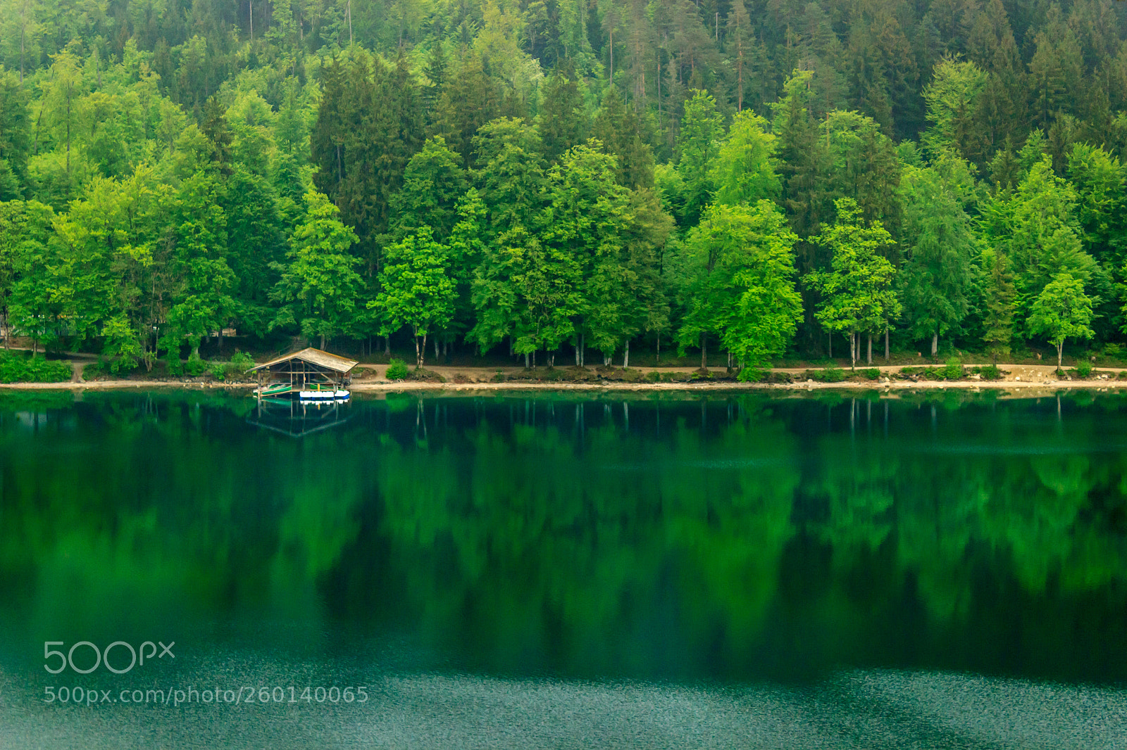 Canon EOS 600D (Rebel EOS T3i / EOS Kiss X5) sample photo. Alpsee reflection photography
