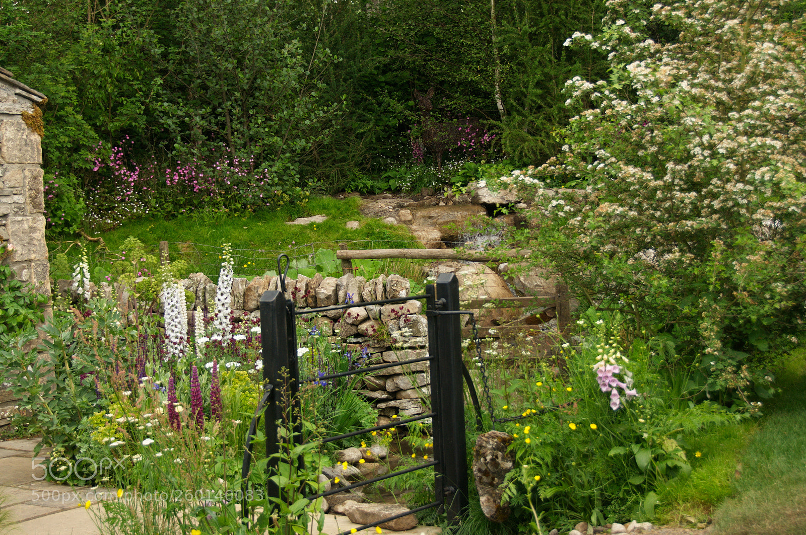 Nikon D300S sample photo. Chelsea flower show medal photography
