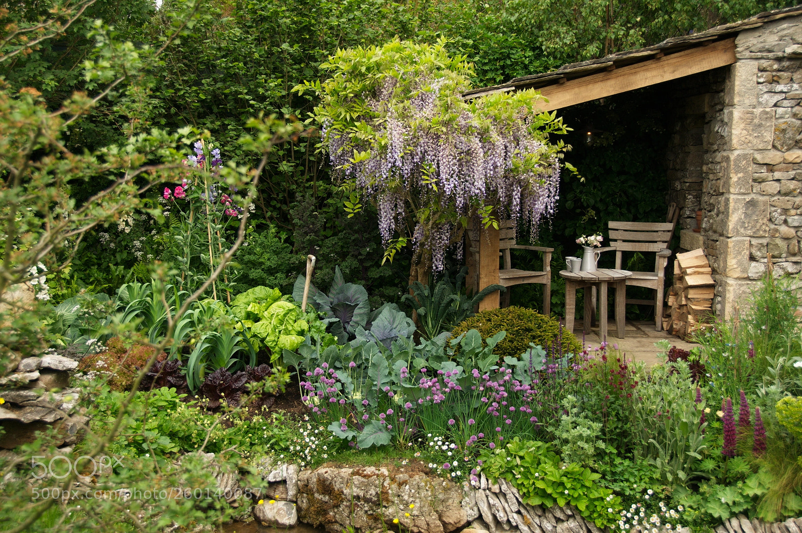 Nikon D300S sample photo. Chelsea flower show medal photography