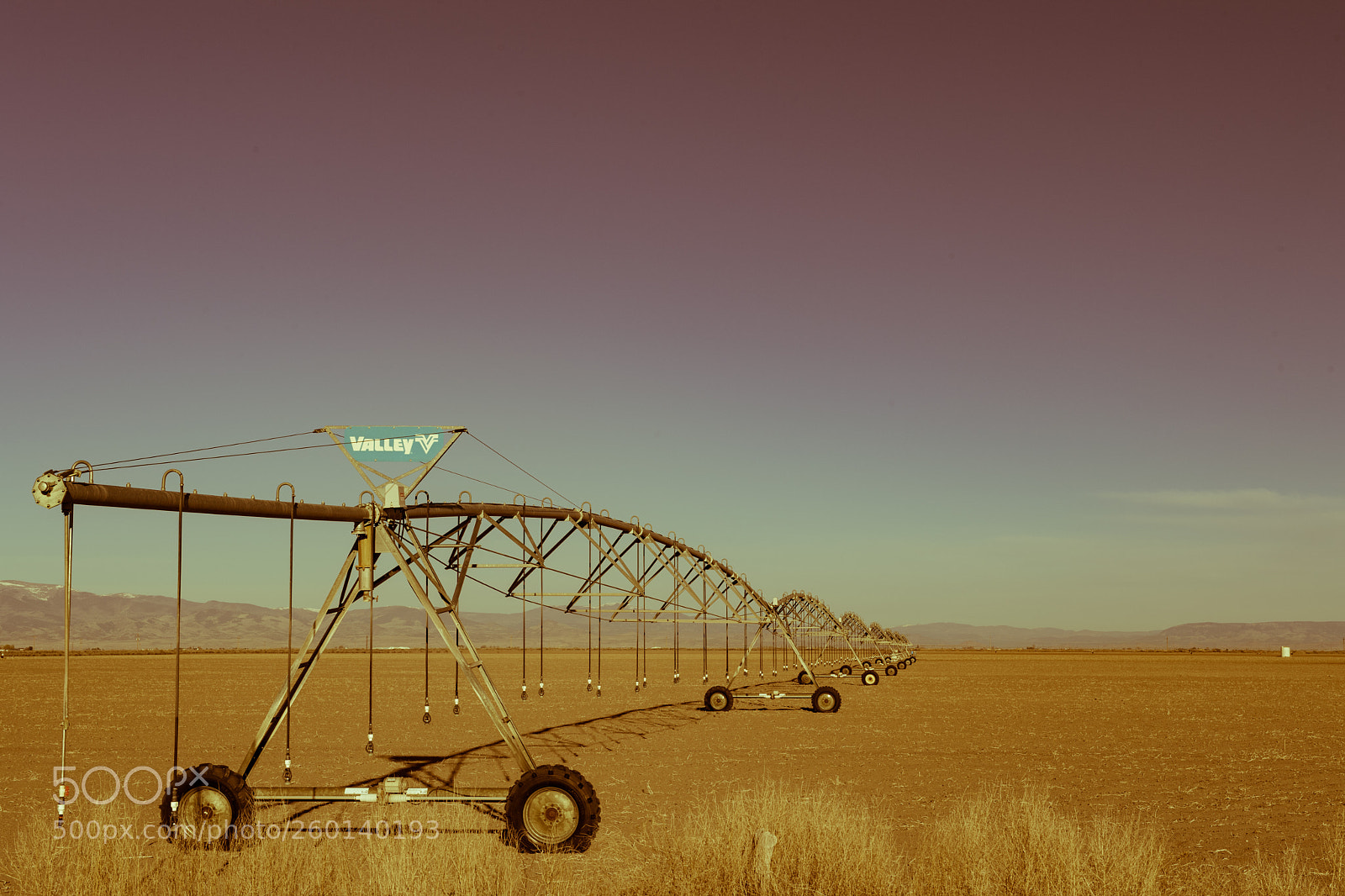 Nikon D5 sample photo. Commercial farming and watering photography