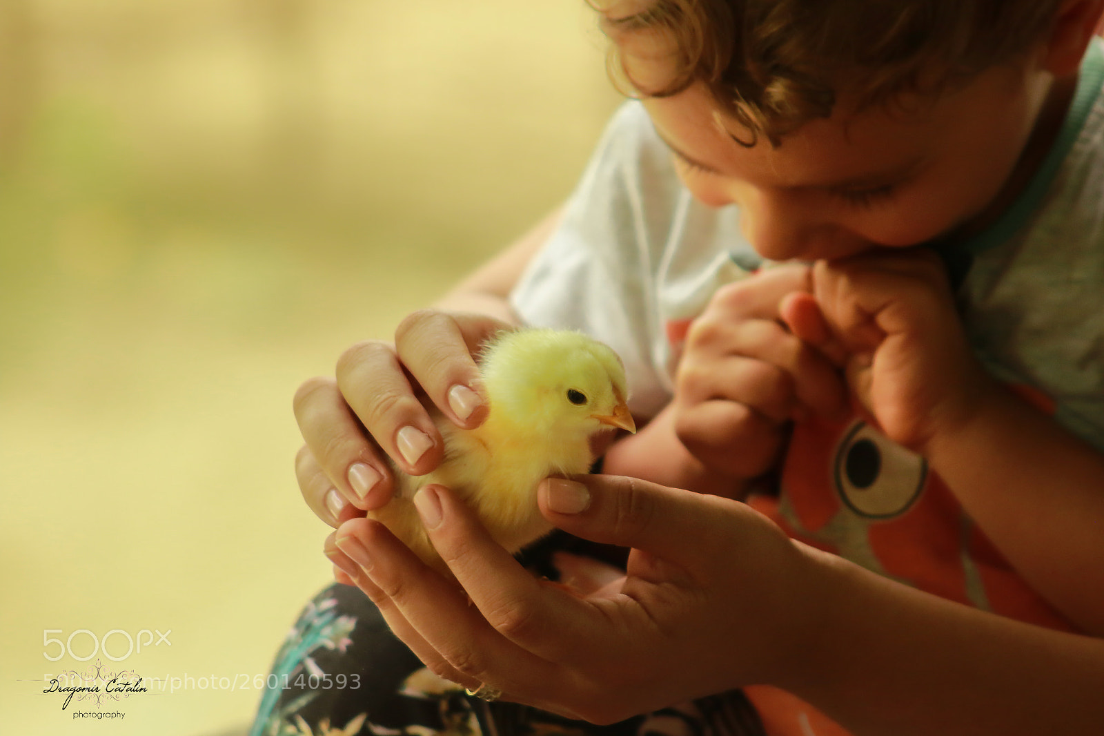 Canon EOS 7D Mark II sample photo. Little tweety photography