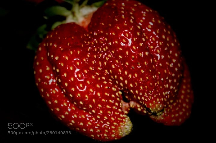 Canon EOS 700D (EOS Rebel T5i / EOS Kiss X7i) sample photo. Untitled photography