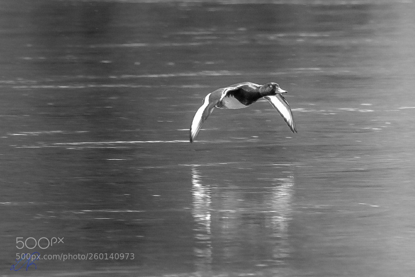 Canon EOS 6D sample photo. On the water photography