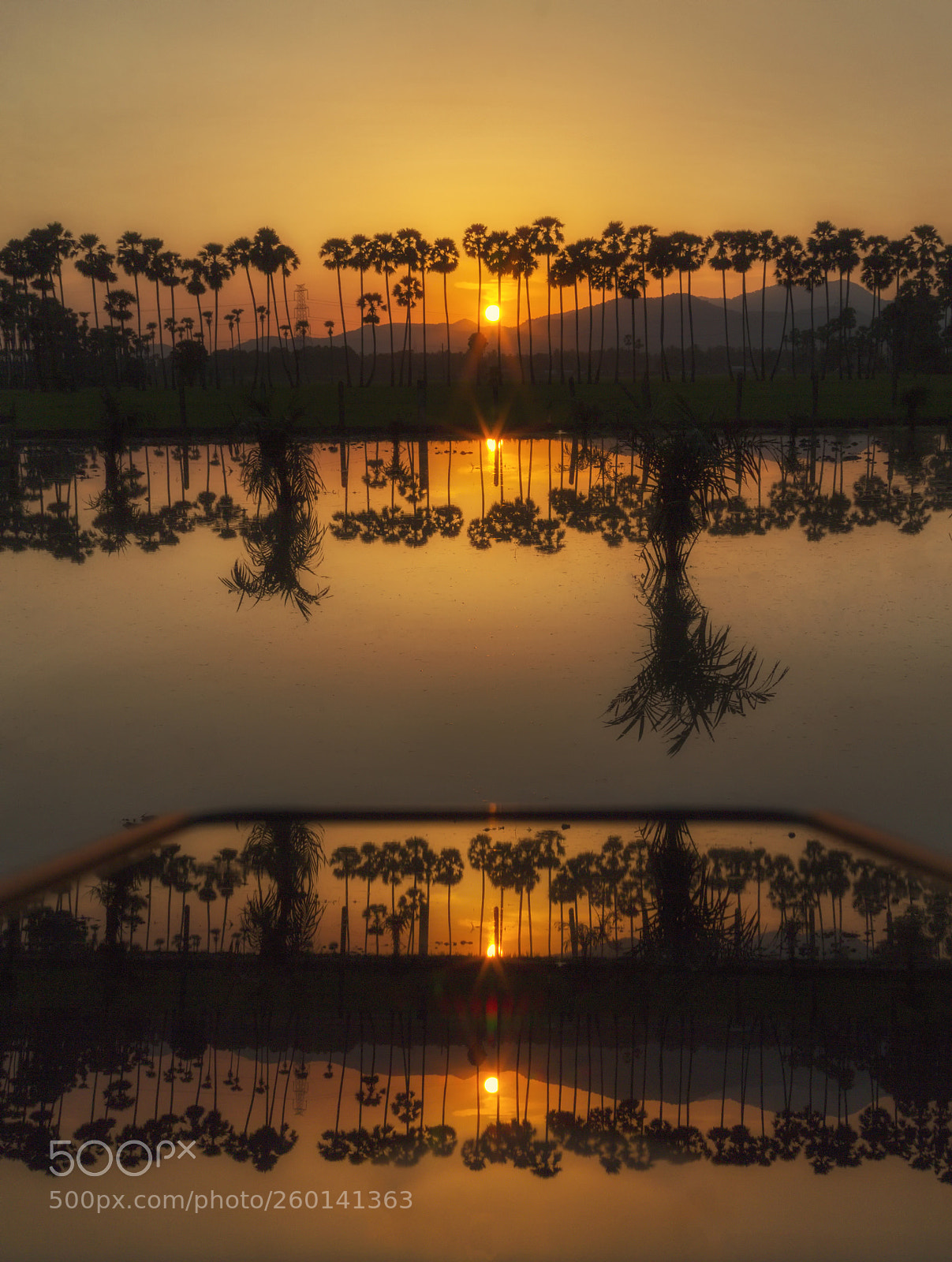 Canon EOS 650D (EOS Rebel T4i / EOS Kiss X6i) sample photo. "reflection of a reflection." photography