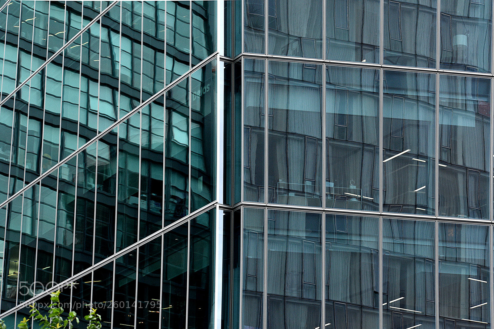 Nikon D3400 sample photo. Window reflections photography