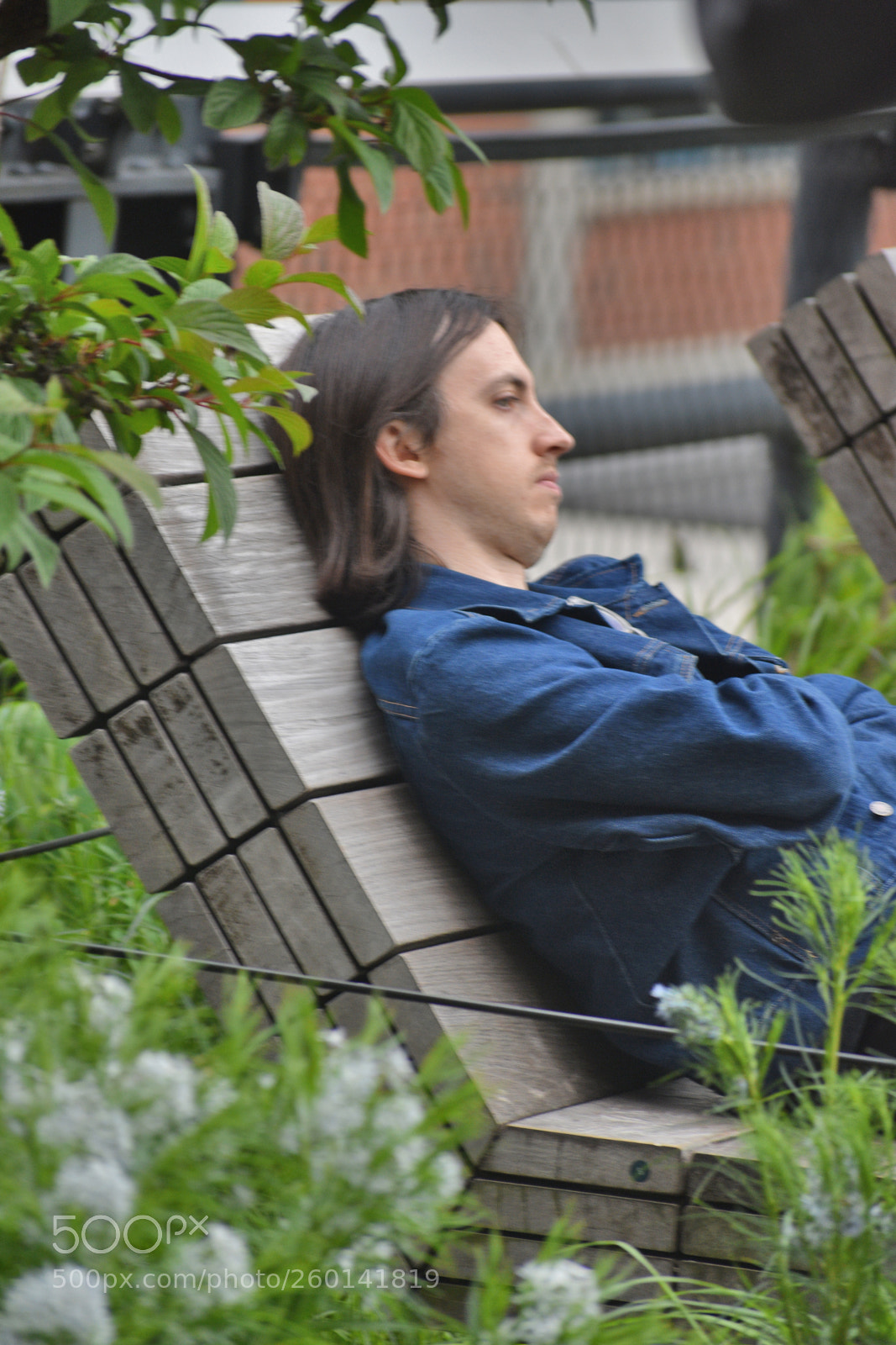 Nikon D3400 sample photo. Just taking a nap photography