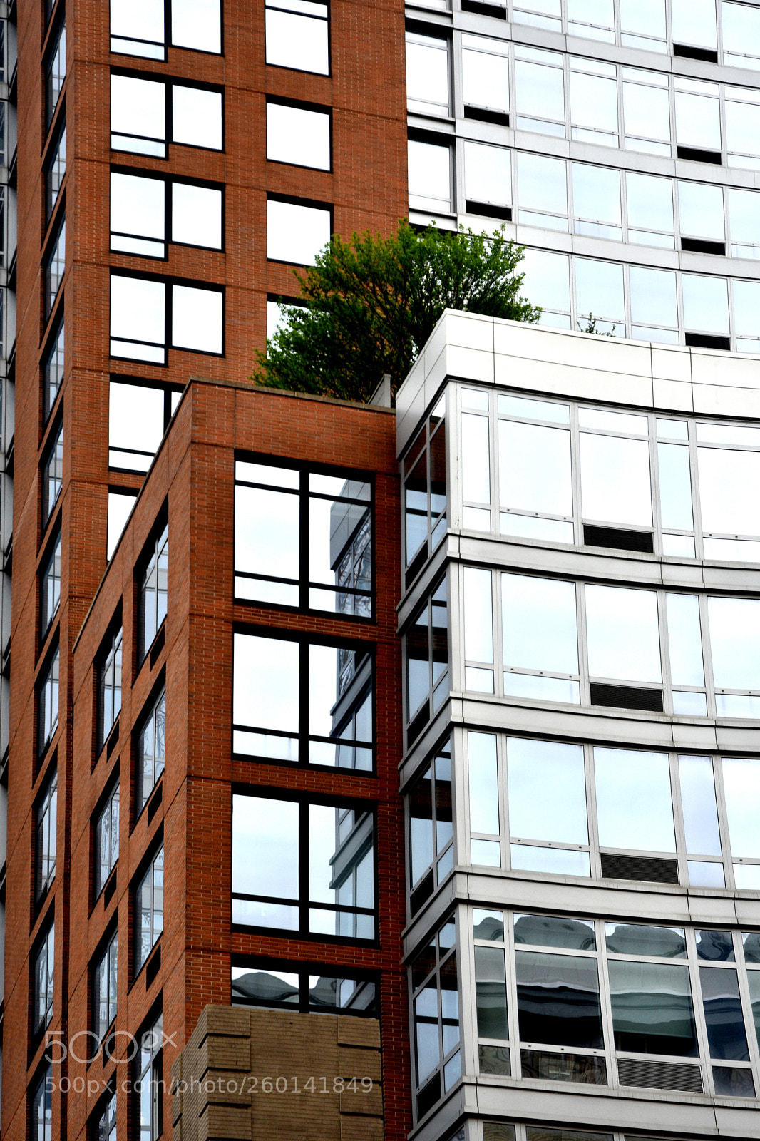 Nikon D3400 sample photo. Roof tree photography