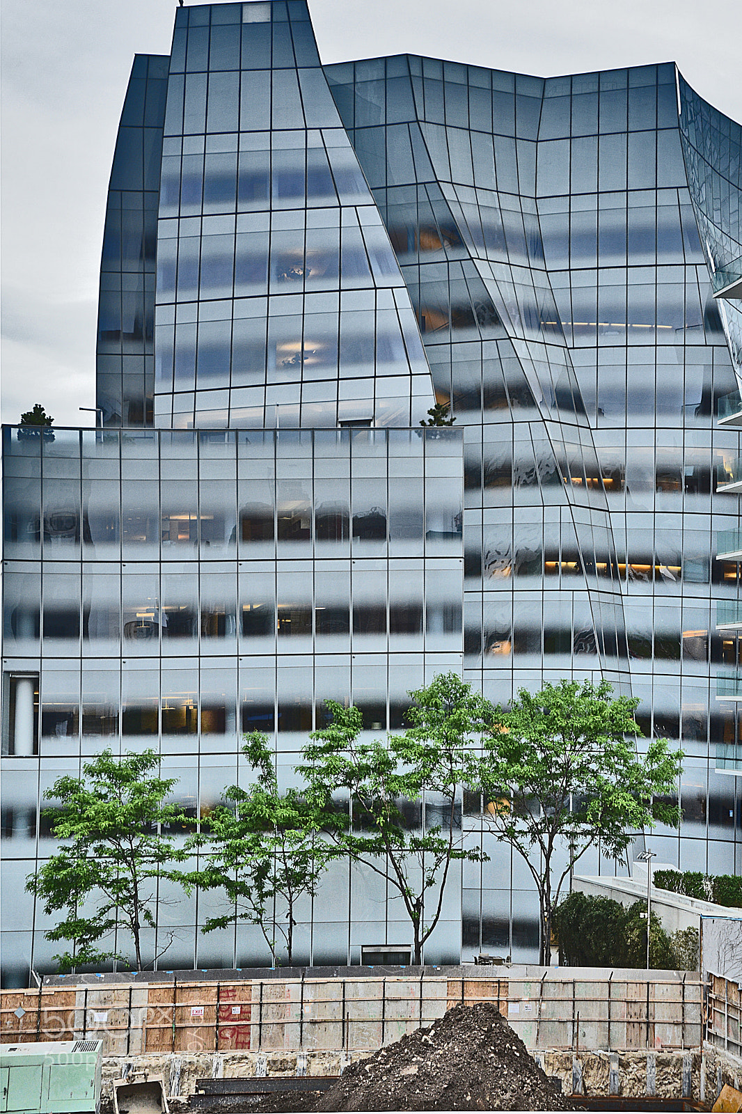 Nikon D3400 sample photo. Trees grow in manhattan photography