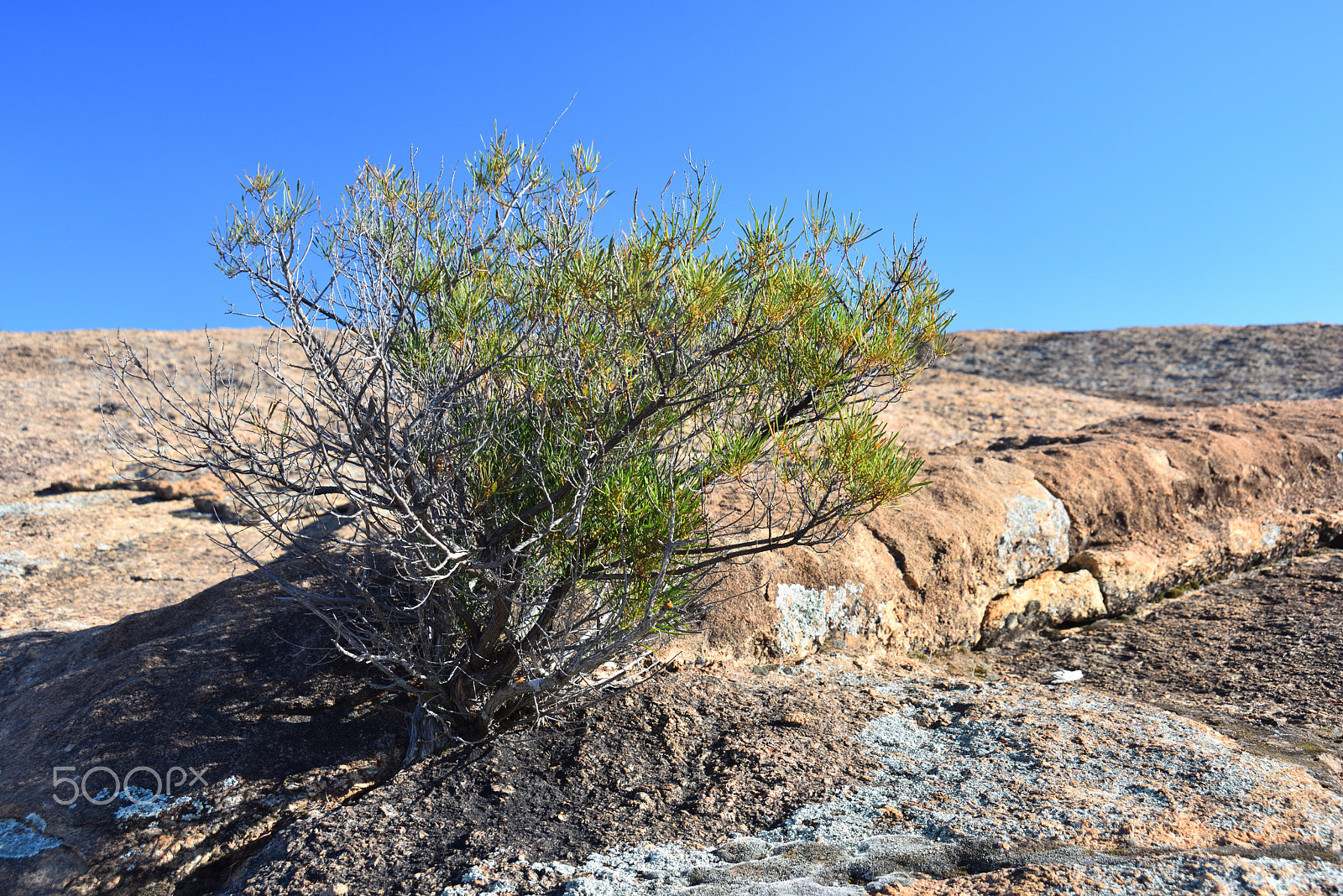 Nikon D810 sample photo. Wave rock photography