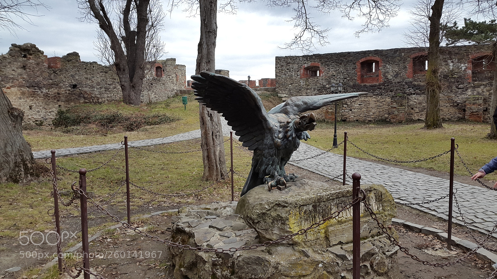 Samsung Galaxy Alpha sample photo. 20170305_130518.jpg photography