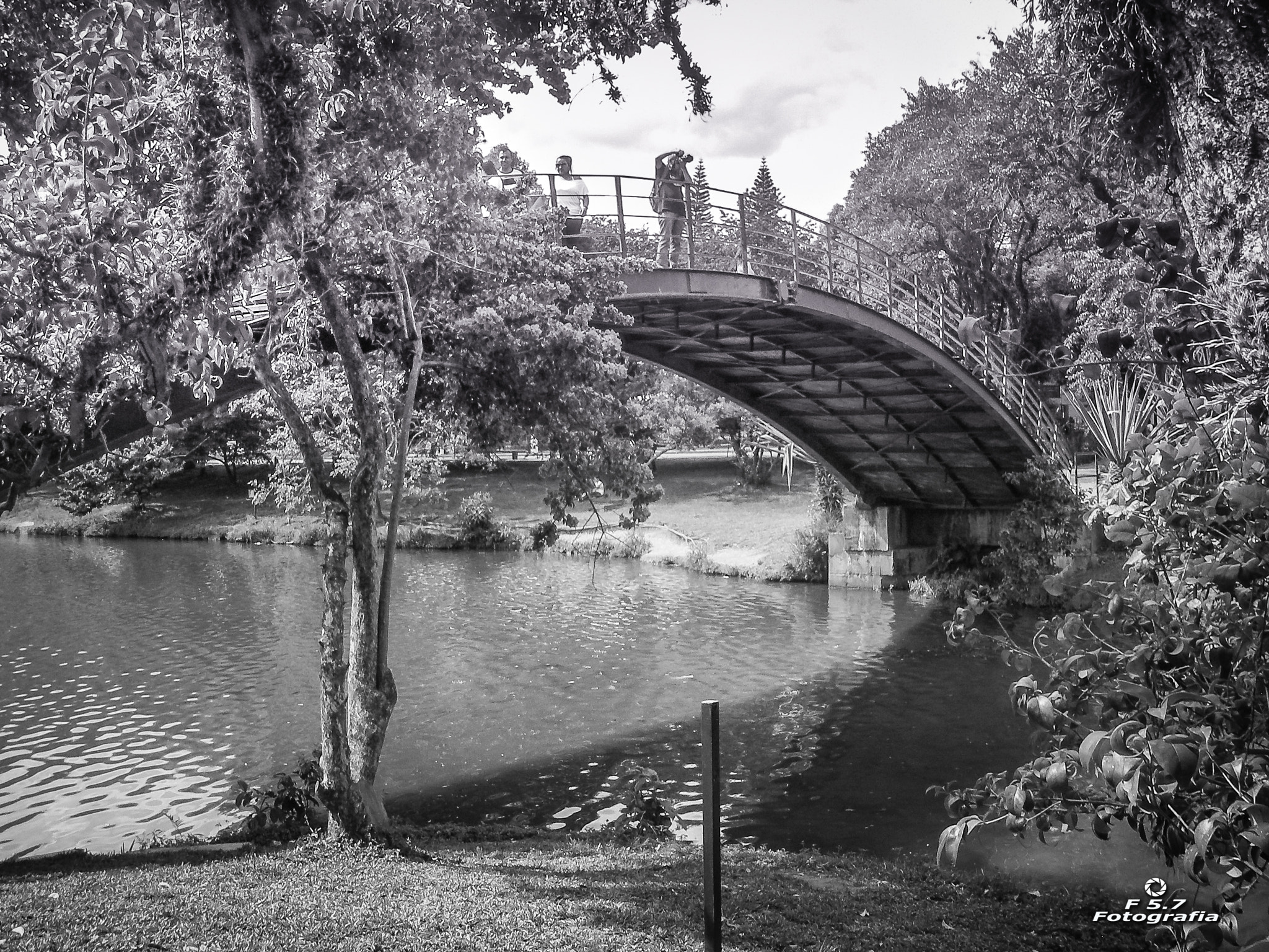 Pentax OPTIO W10 sample photo. Bridge - parque do ibirapuera - são paulo - brasil photography