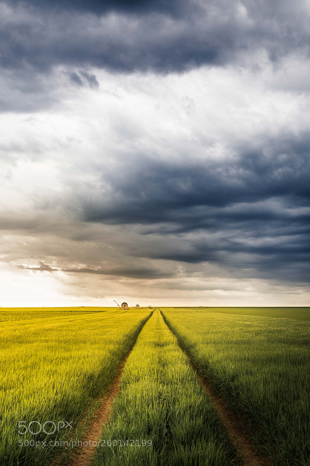Canon EOS 5D Mark IV sample photo. Storm is coming photography