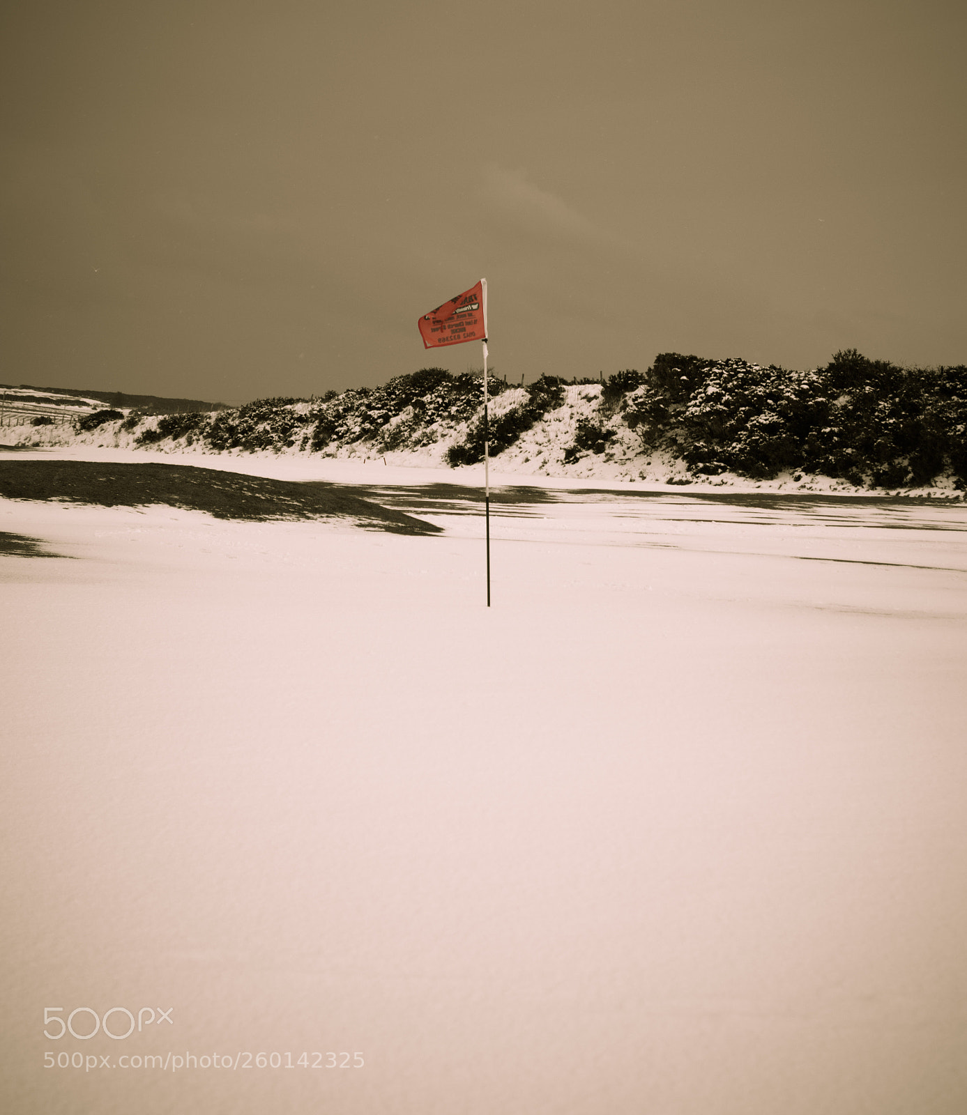 Nikon D3200 sample photo. Winter golf anyone photography