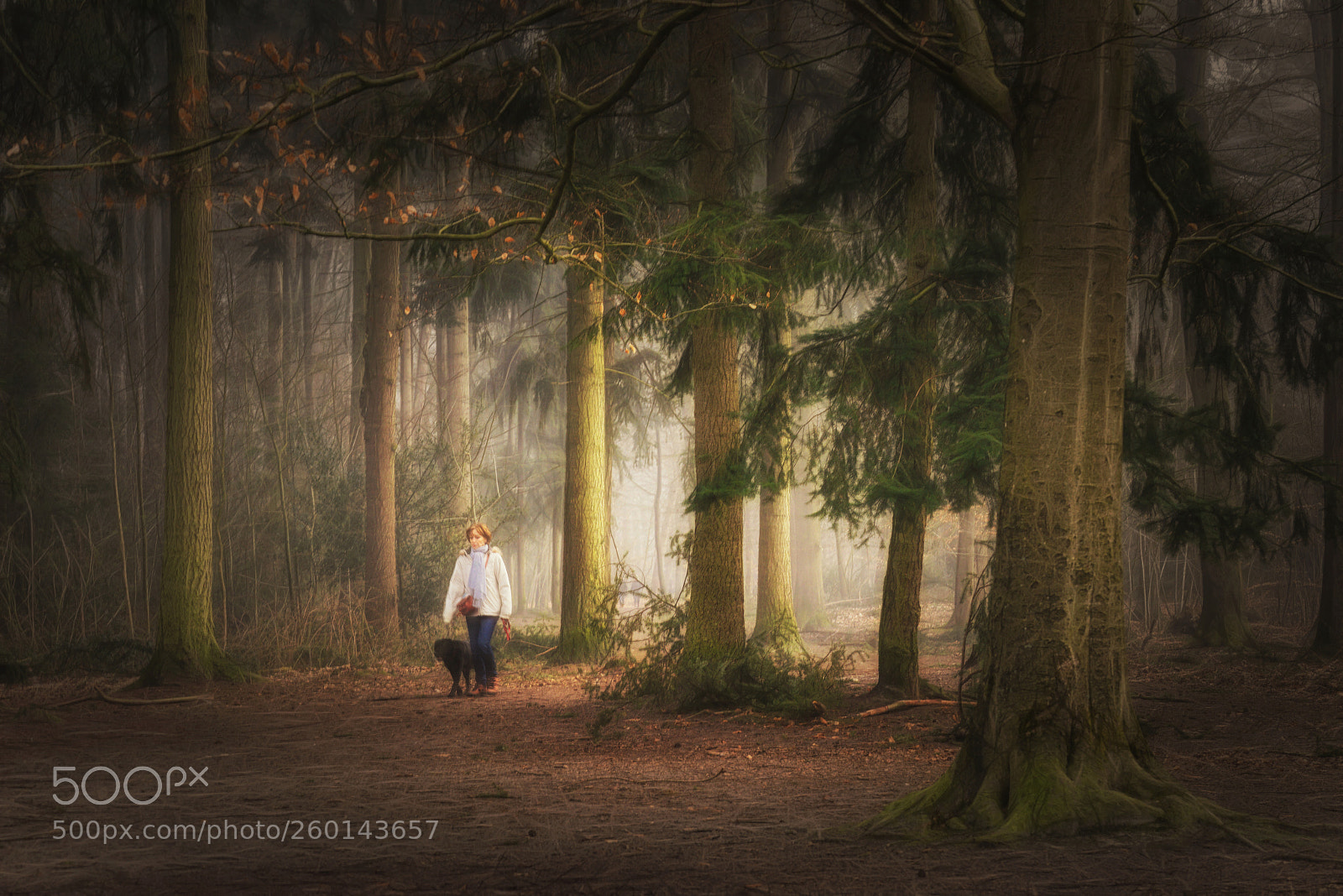 Sony a7R sample photo. Autumn dream photography