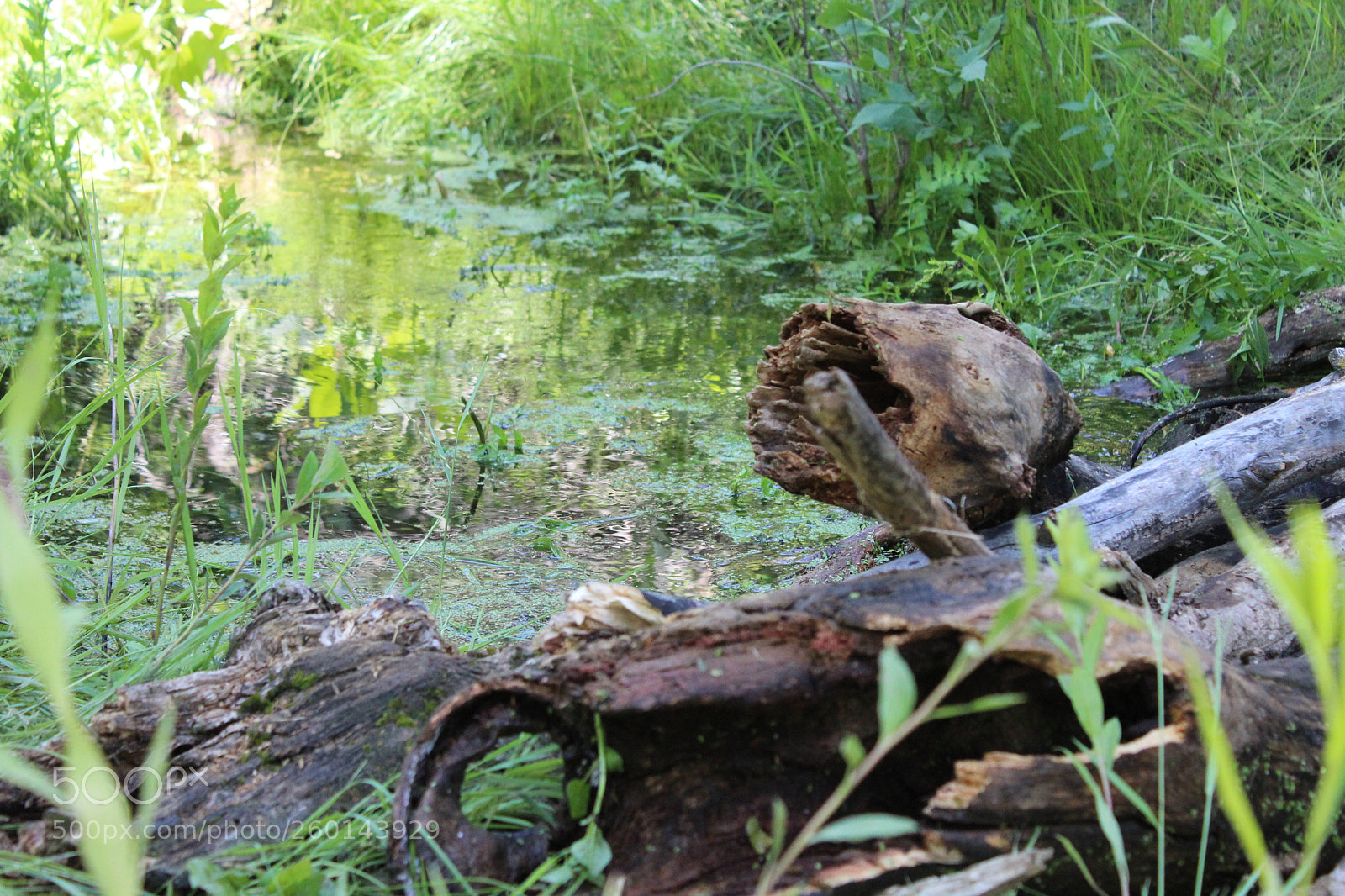 Canon EOS 1200D (EOS Rebel T5 / EOS Kiss X70 / EOS Hi) sample photo. Calming down the riverbend photography