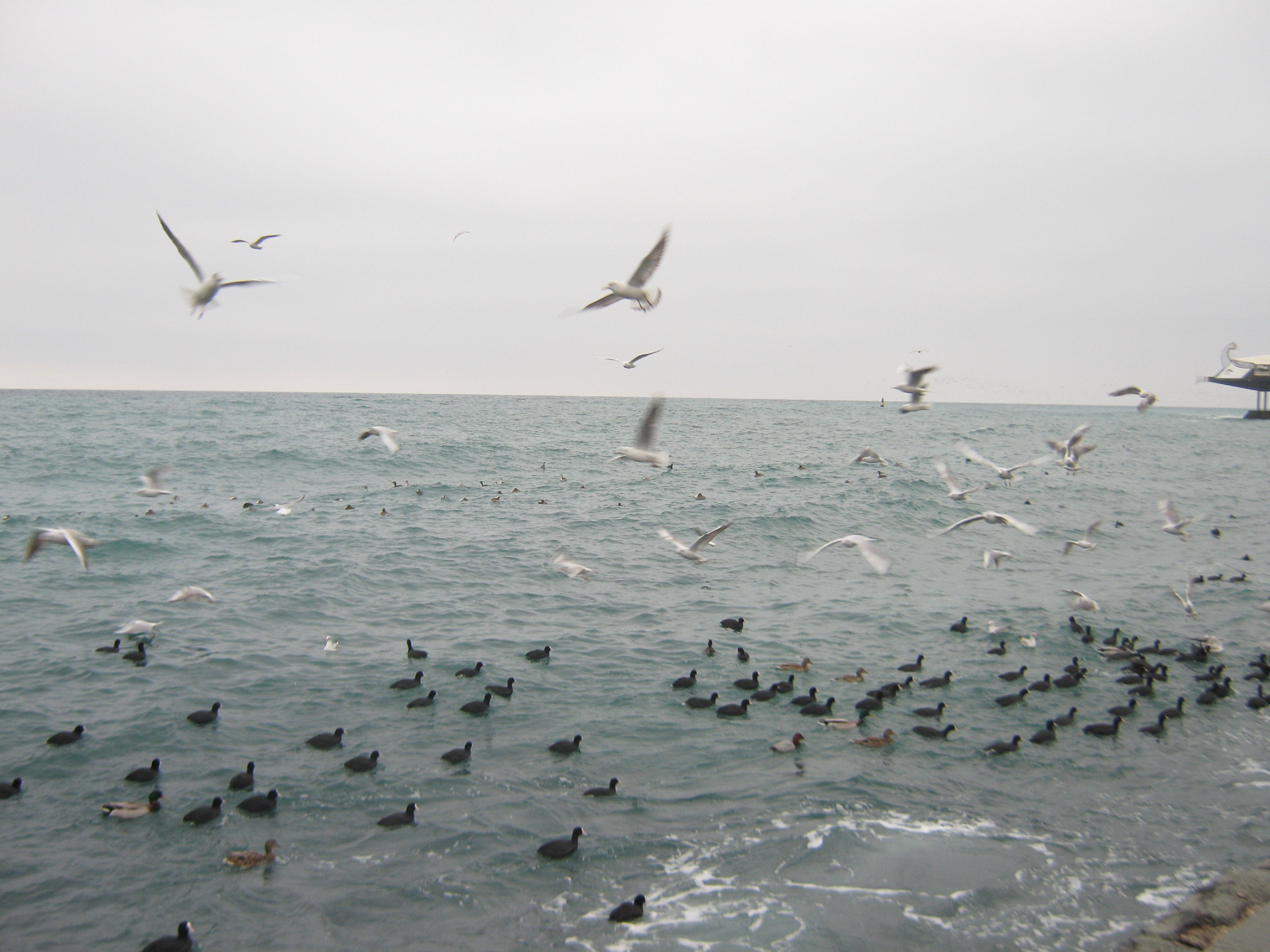 Canon PowerShot A470 sample photo. Img photography