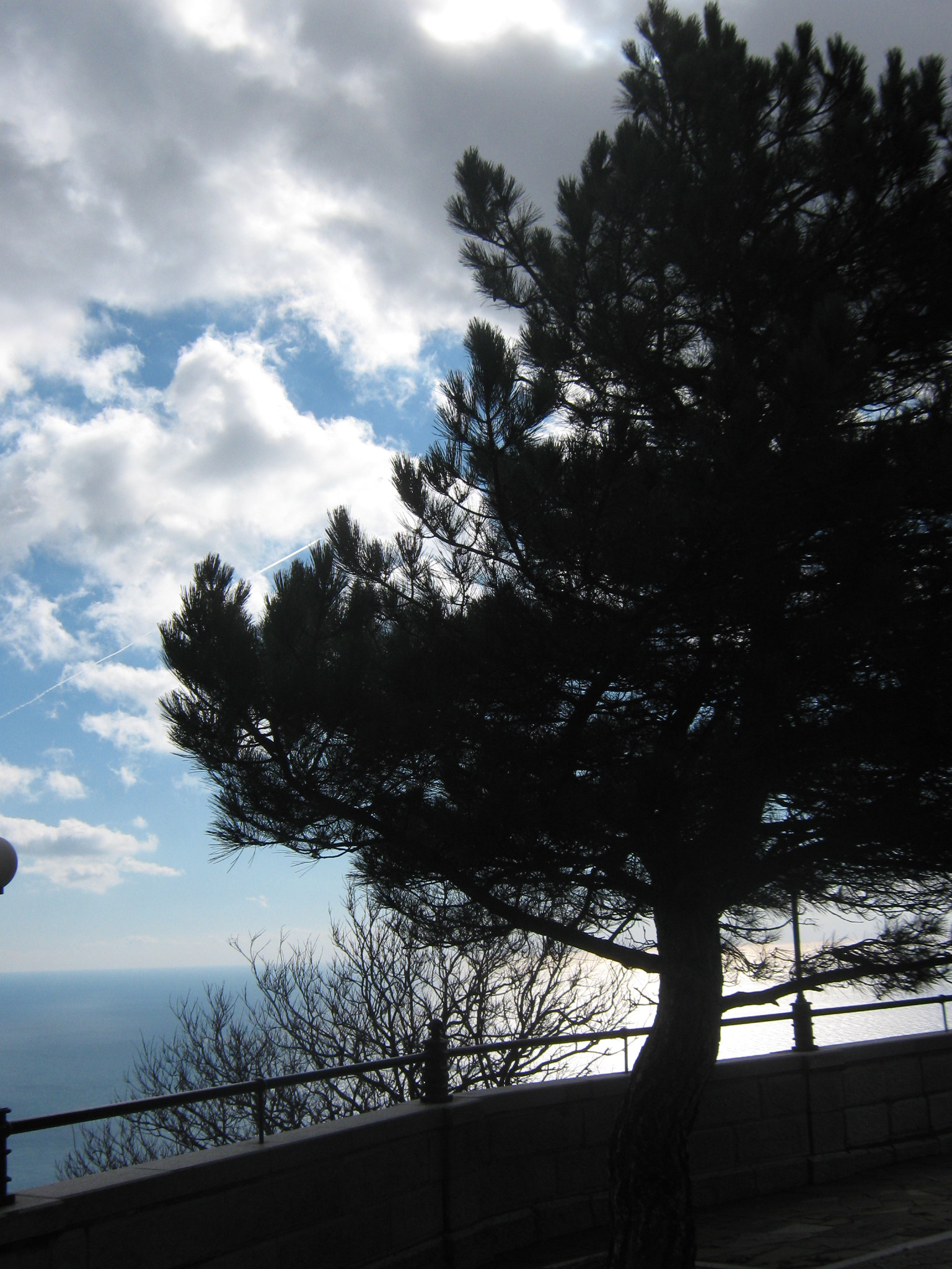 Canon PowerShot A470 sample photo. Img photography