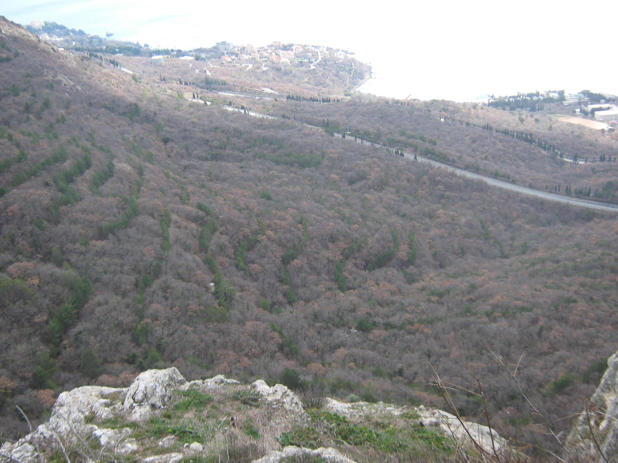 Canon PowerShot A470 sample photo. Img photography