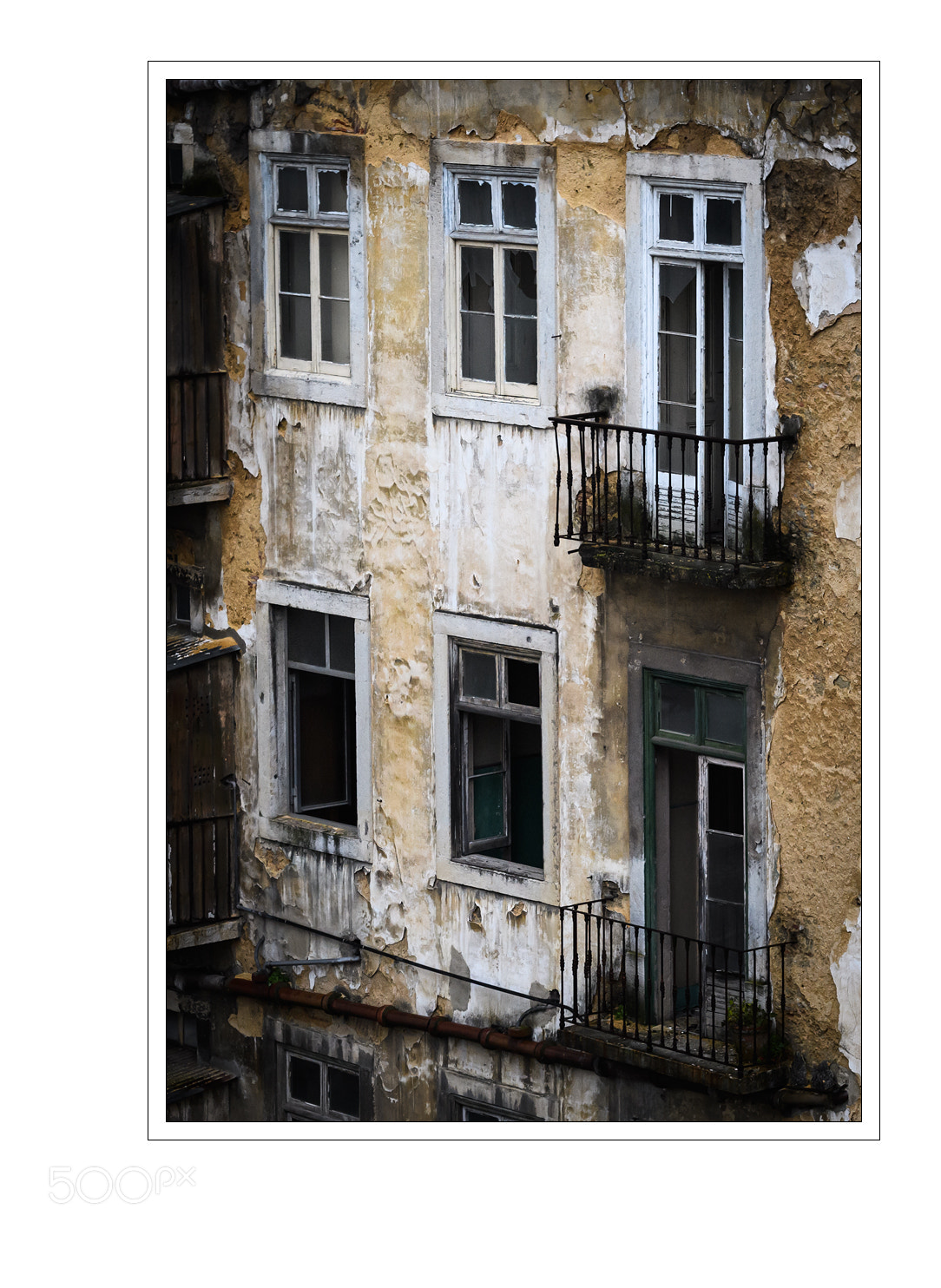 Nikon D5 sample photo. Windows photography