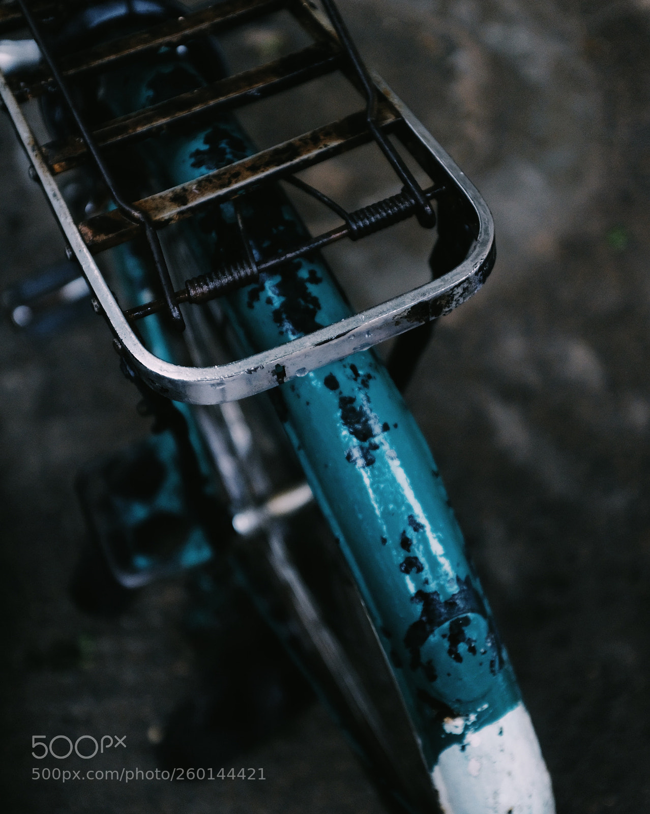 Fujifilm X100F sample photo. Untitled photography