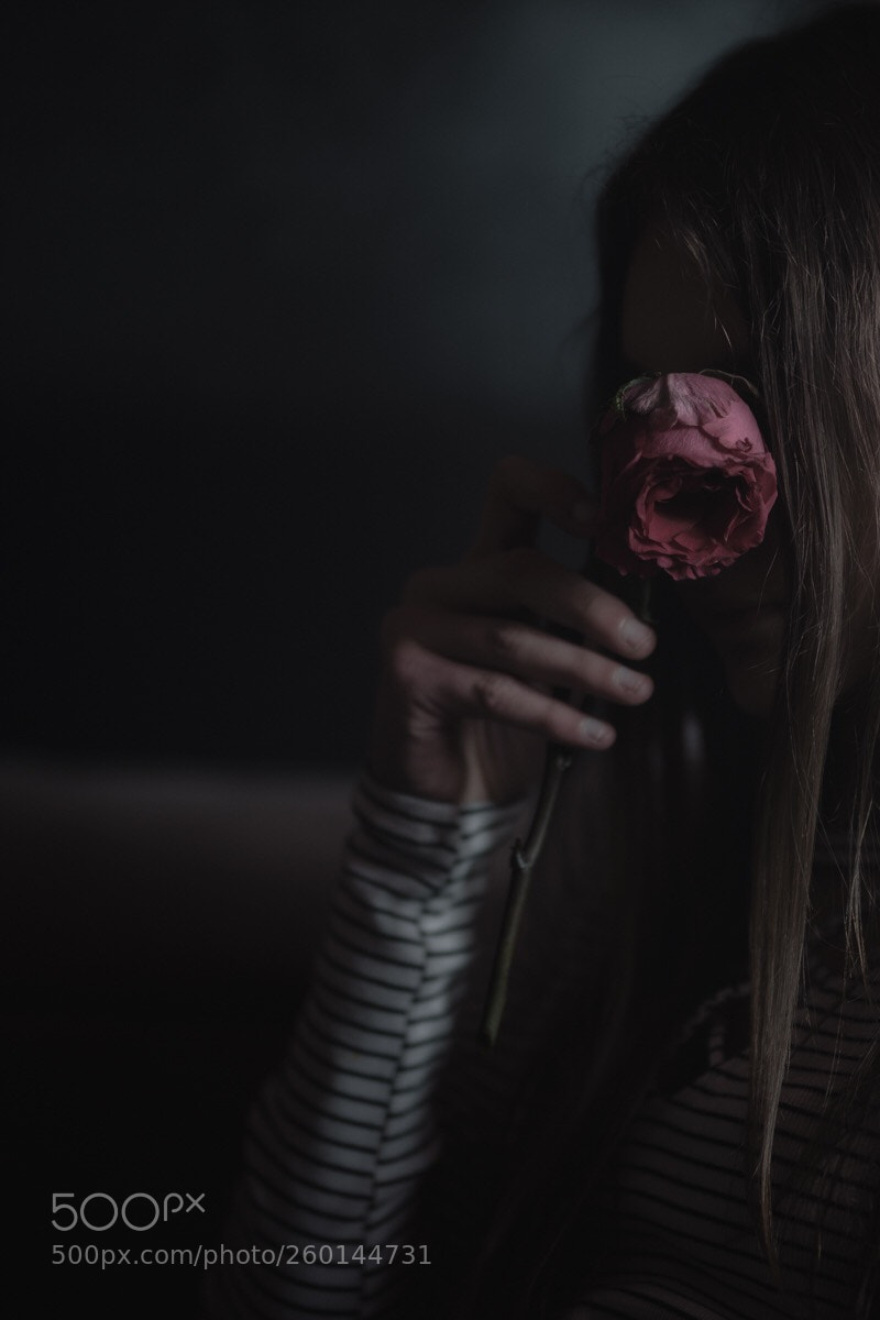 Nikon D750 sample photo. Untitled photography