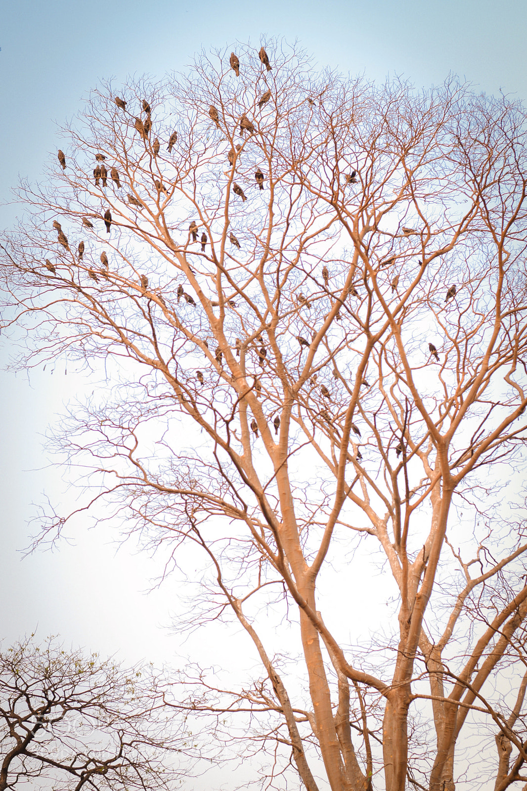 Nikon D5300 sample photo. Replacement of nature photography