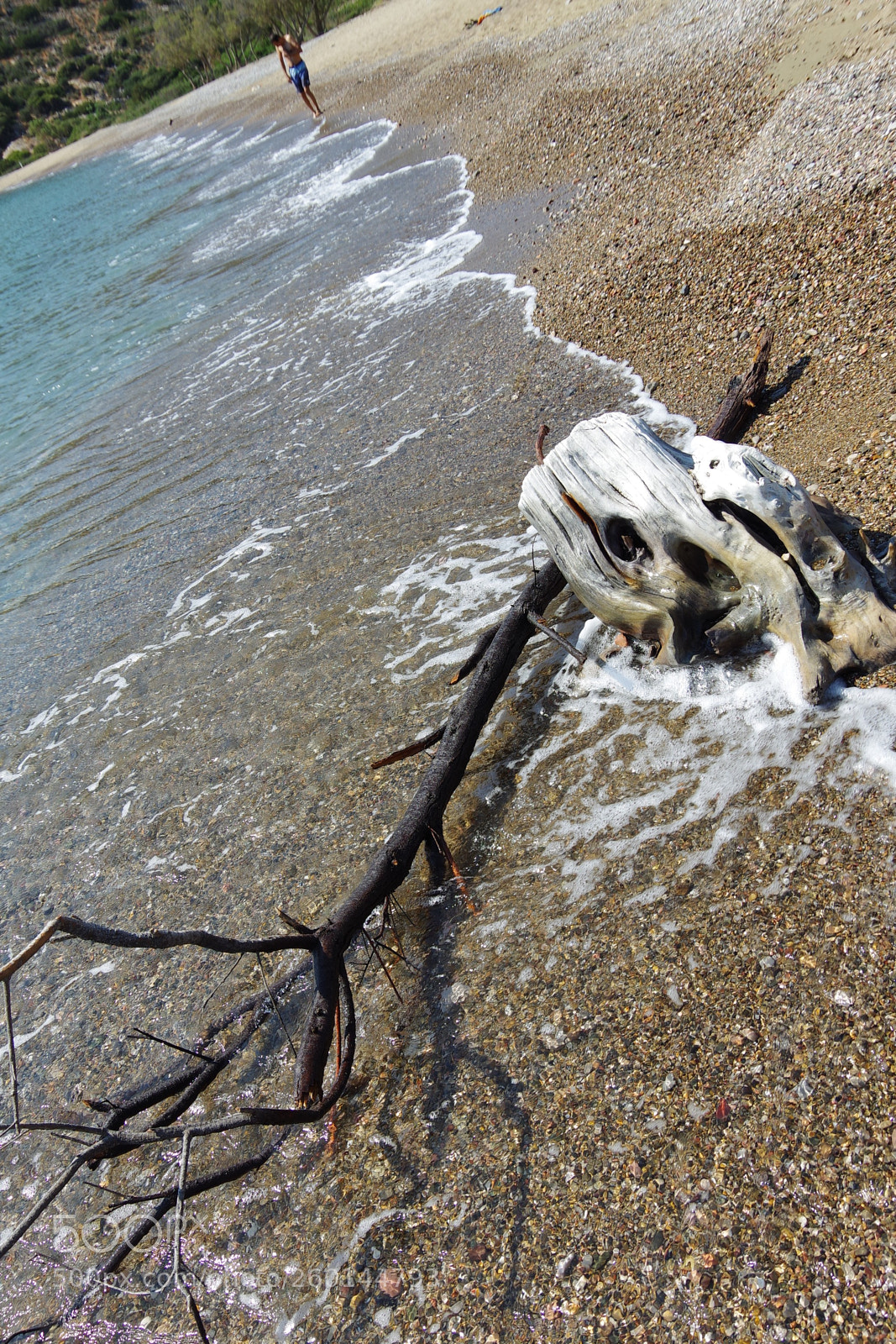 Pentax K-S2 sample photo. Untitled photography