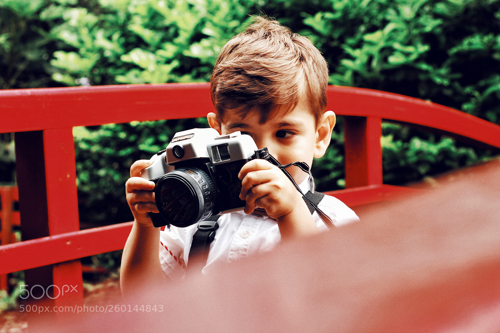Canon EOS 60D sample photo. I love photography  photography