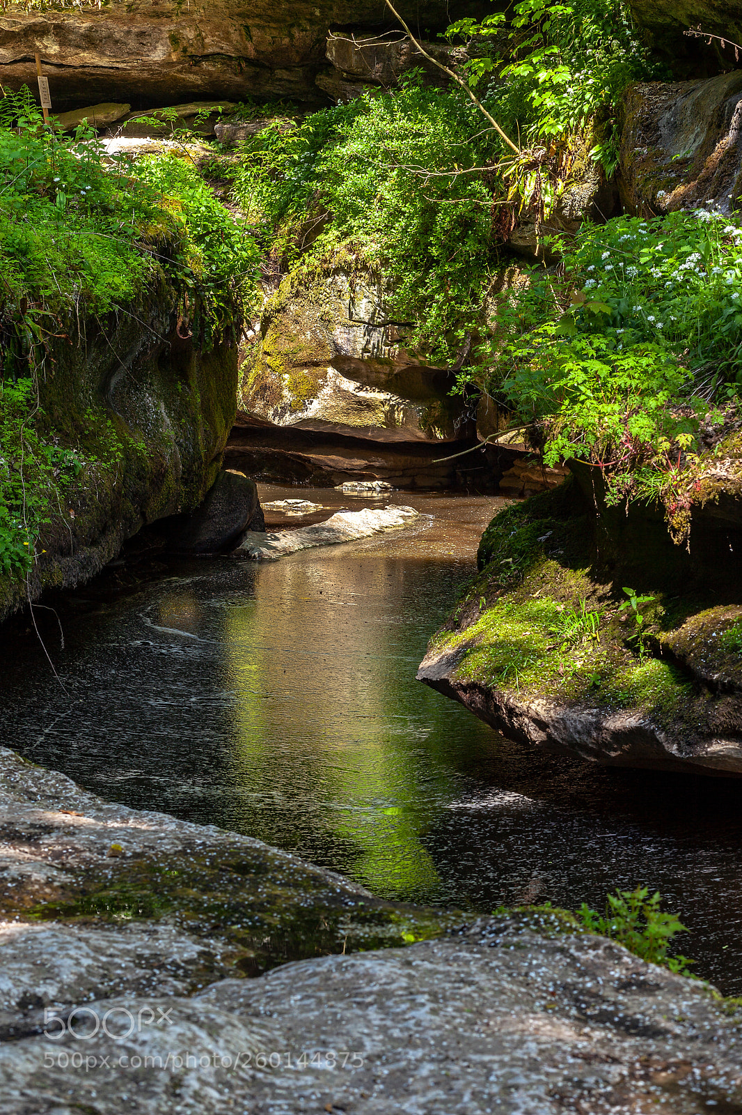 Canon EOS 5D Mark II sample photo. How stean pool photography