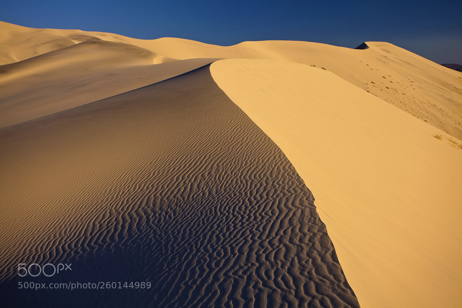 Canon EOS 5D Mark II sample photo. Eureka sand dune photography